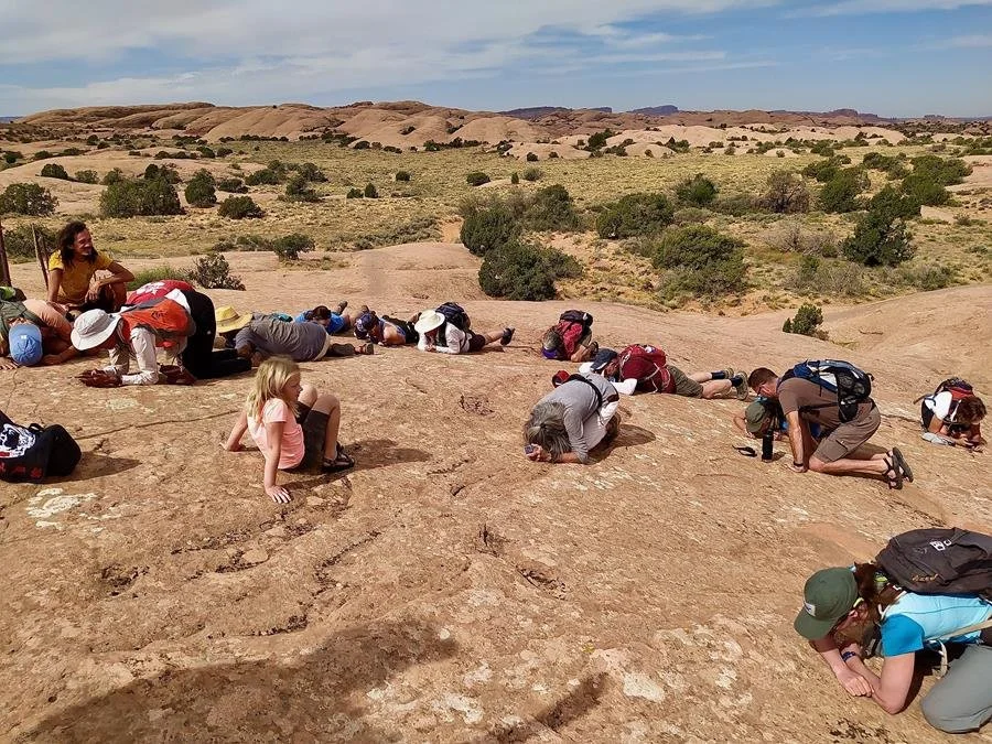Grouse Poop or Creative Cryptograms?