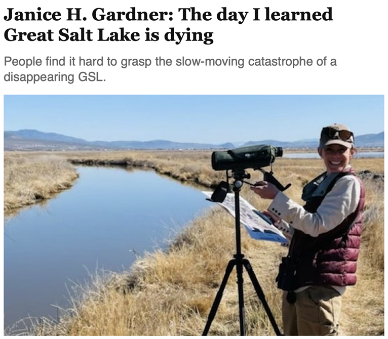 Janice H. Gardner: The day I learned Great Salt Lake is dying