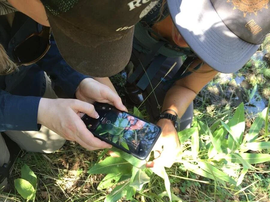 Catch Up with the Utah Pollinator Pursuit "Buzz!"