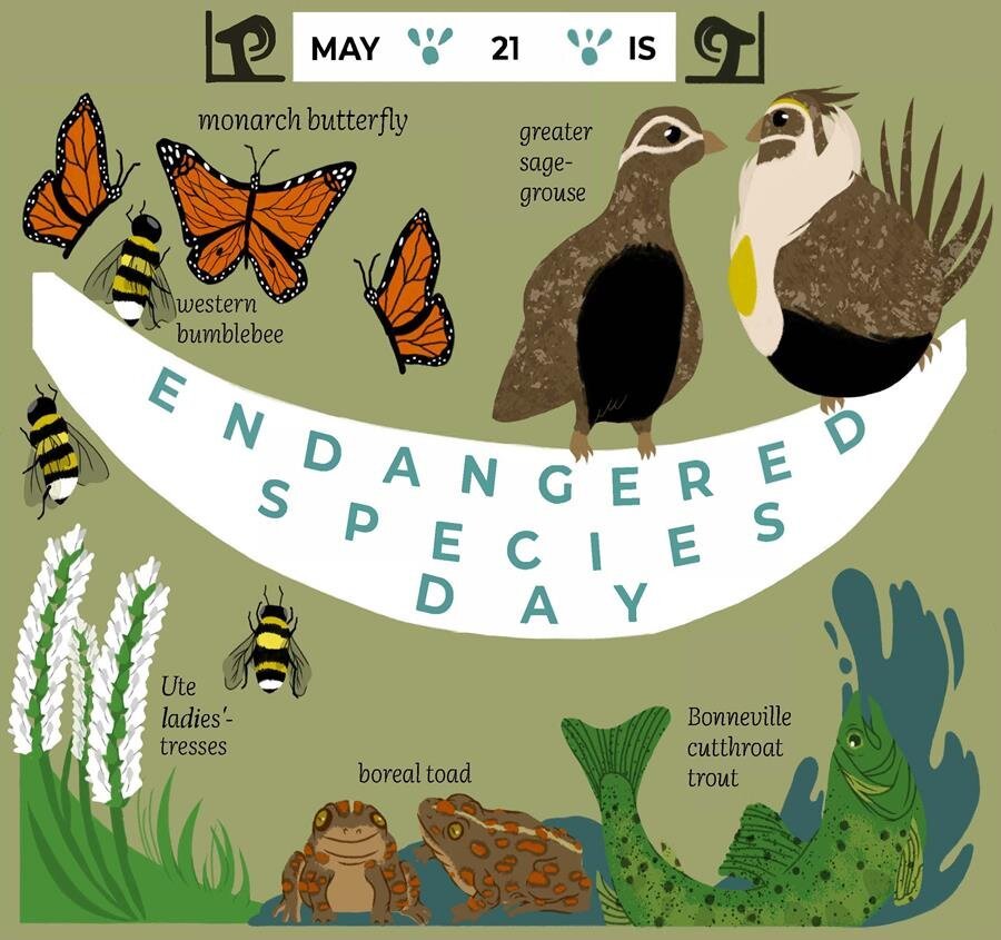 Bumblebees Are Buzzing Across Utah's Backyards and Mountains—Are You?