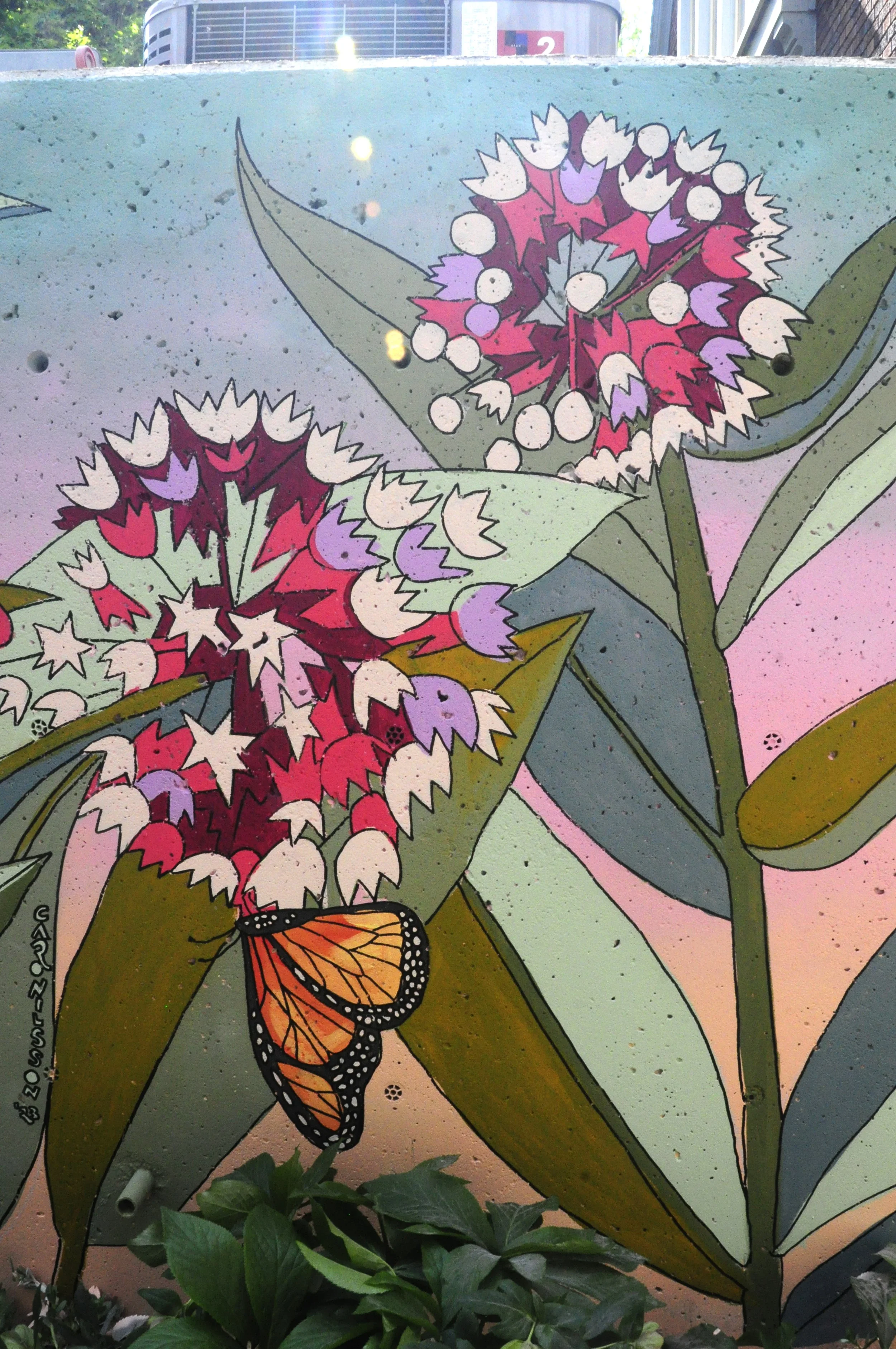 Painting the Way for Monarchs and Milkweed