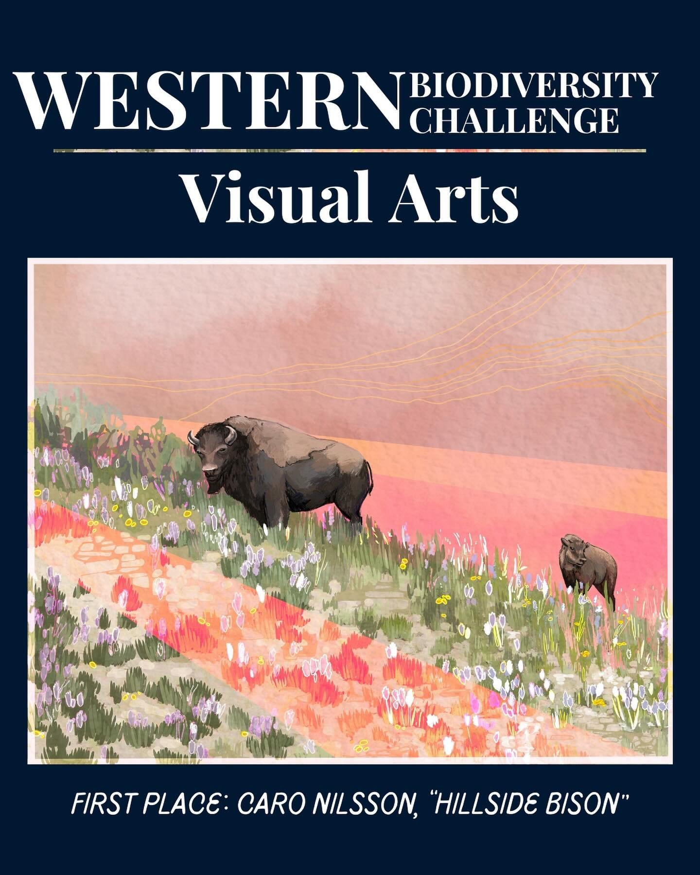 Get to know our Western Biodiversity Challenge Artists! 🧡

This week we are sharing our honorees in the Visual Arts category. Working with a myriad of mediums, these artists portray the natural world in a way that evokes emotion and inspiration.

Fi