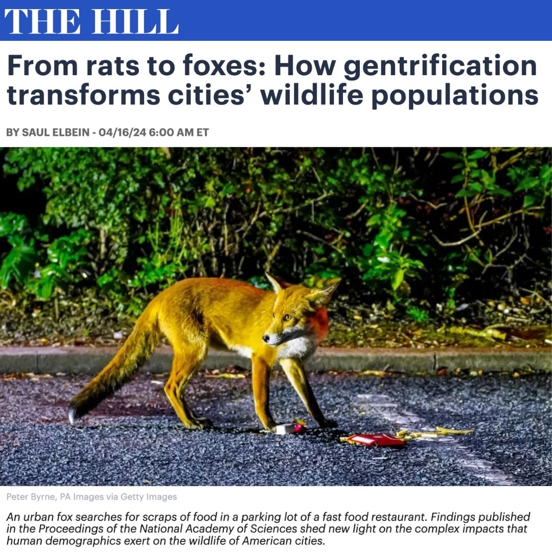 We are excited to share a recent publication, co-authored by Sageland Collaborative&rsquo;s Austin Green and Mary Pendergast, that used data from nearly 200,000 days of camera trap surveillance across 23 cities to help researchers better understand t