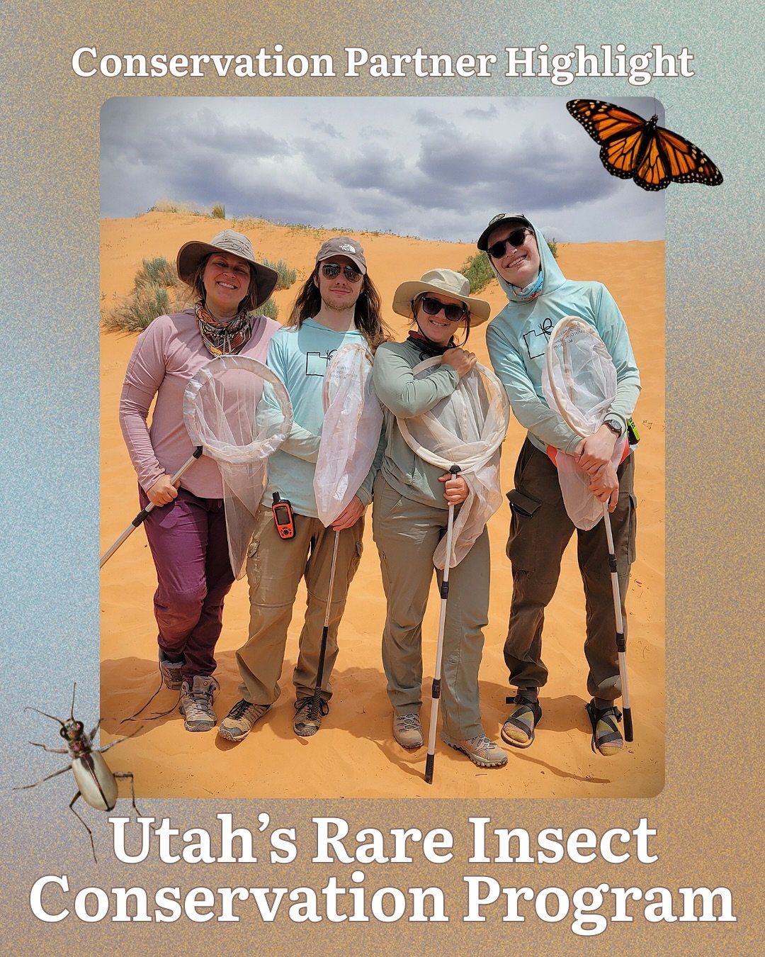 In celebration of National Pollinator Week, we&rsquo;re highlighting our amazing partners in conservation with Utah&rsquo;s Rare Insect Conservation Program!&nbsp;🐝🧡

This program, led by @qcnrusu, works with @utahdwr and other partners to develop 
