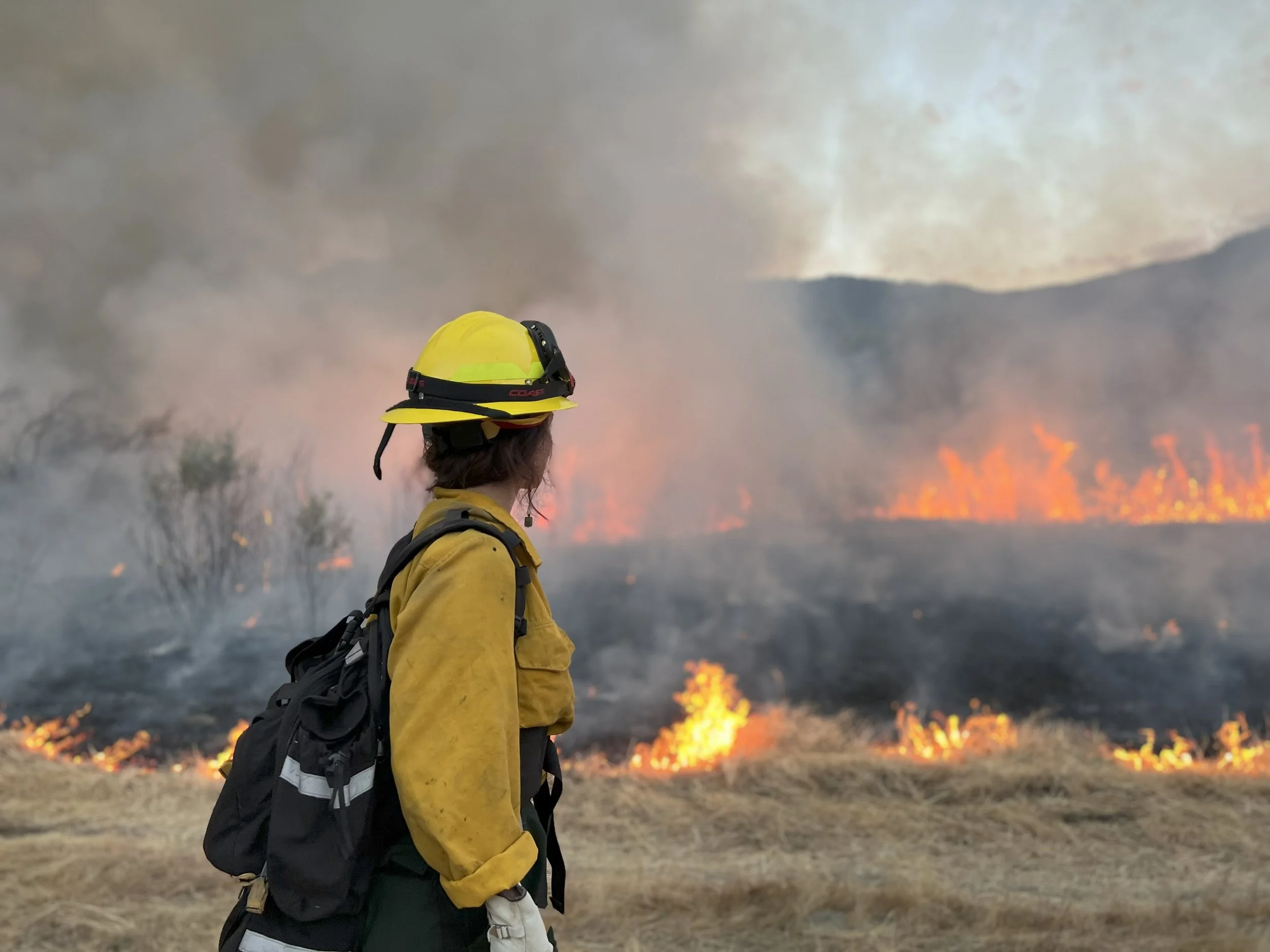 Resiliency through Disturbance