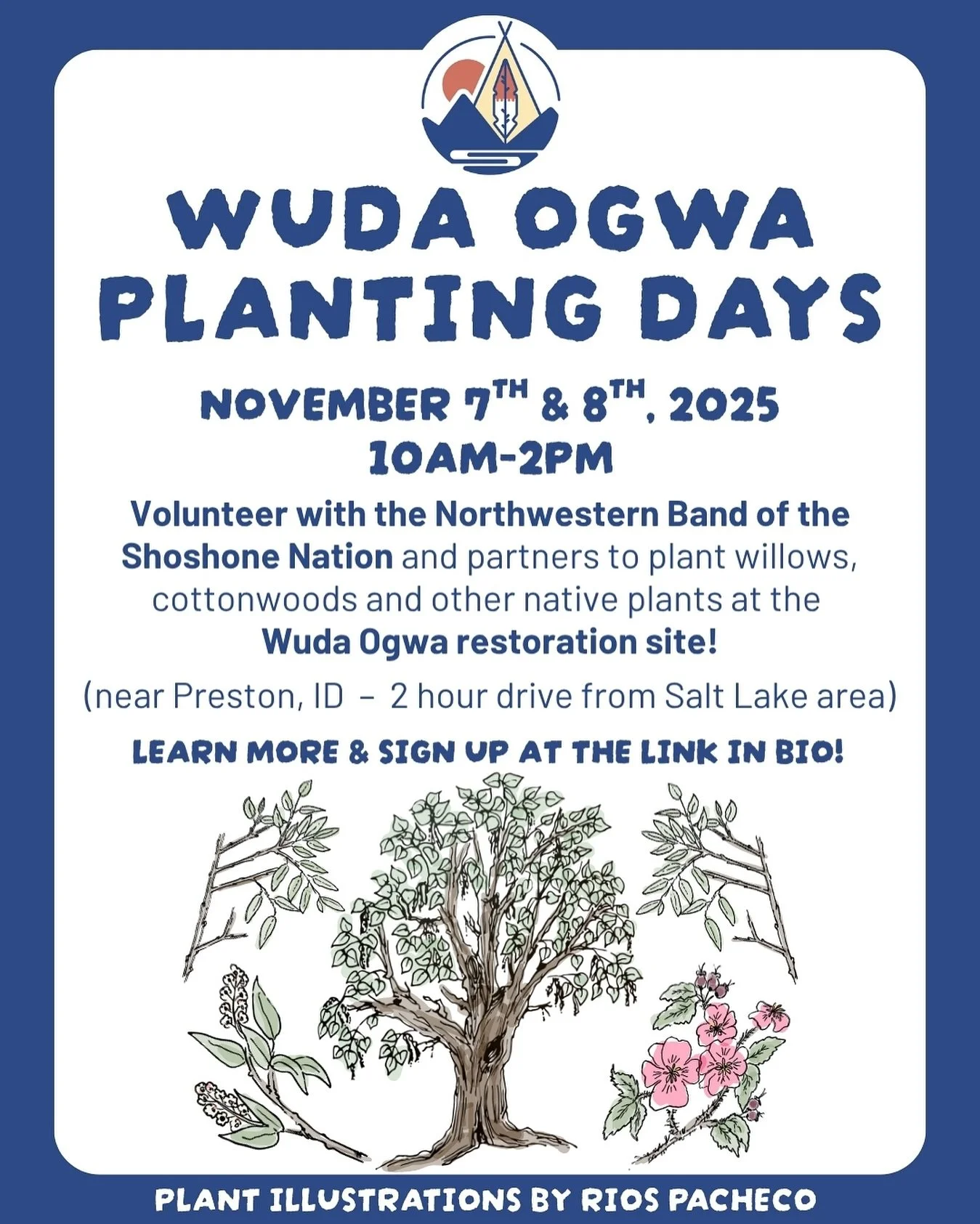 Join the Northwestern Band of the Shoshone Nation for the 3rd annual Community Planting Days at the Wuda Ogwa Restoration Site! The tribe is seeking volunteers to help plant ~50,000 native trees and seedlings to restore the land back to its historic 