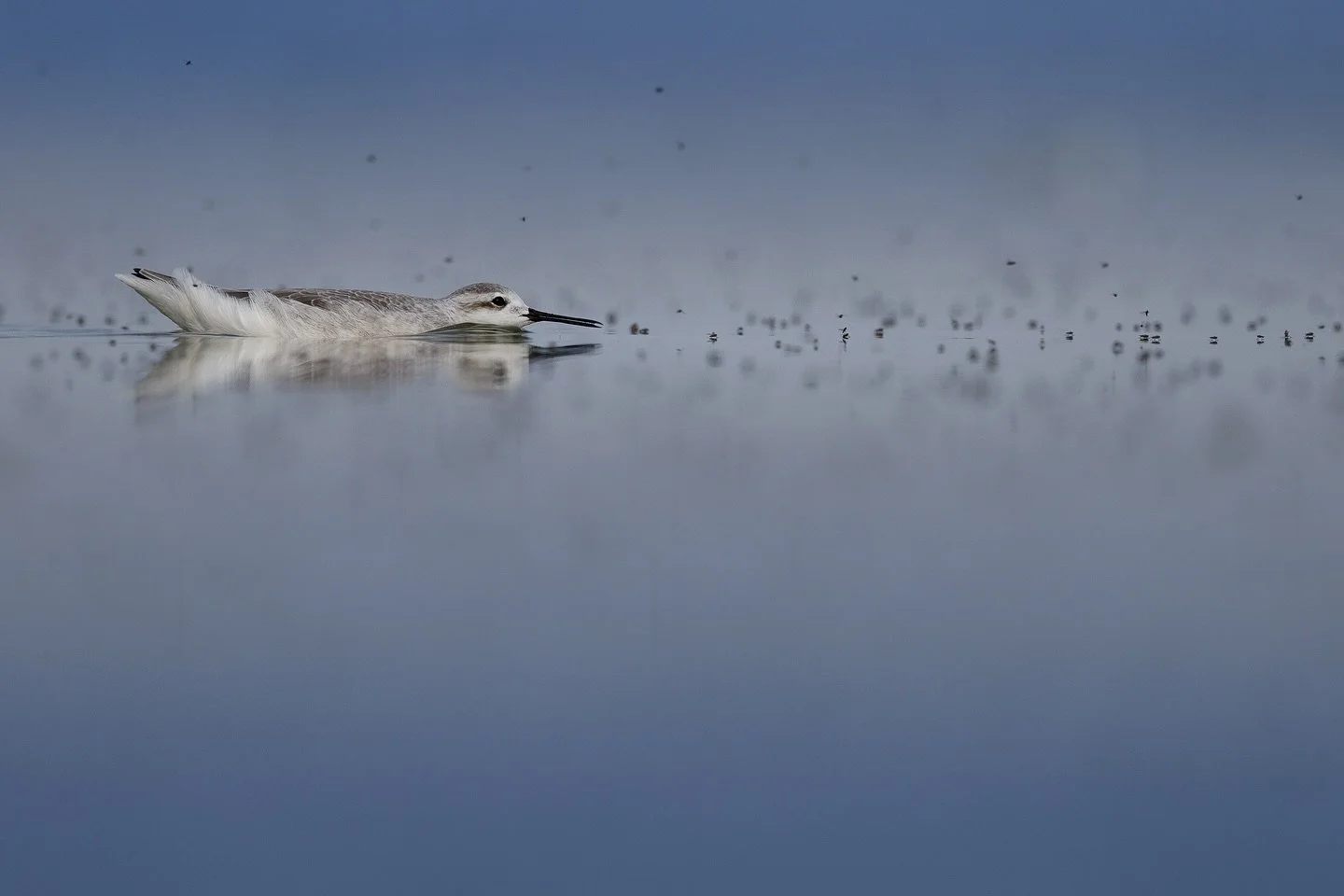 Happy November!

Last month, we wrapped up our volunteer field season, and we are so grateful to all of the volunteers, partners, donors, and community members who came together this year to make wildlife and land conservation possible!

While our fi