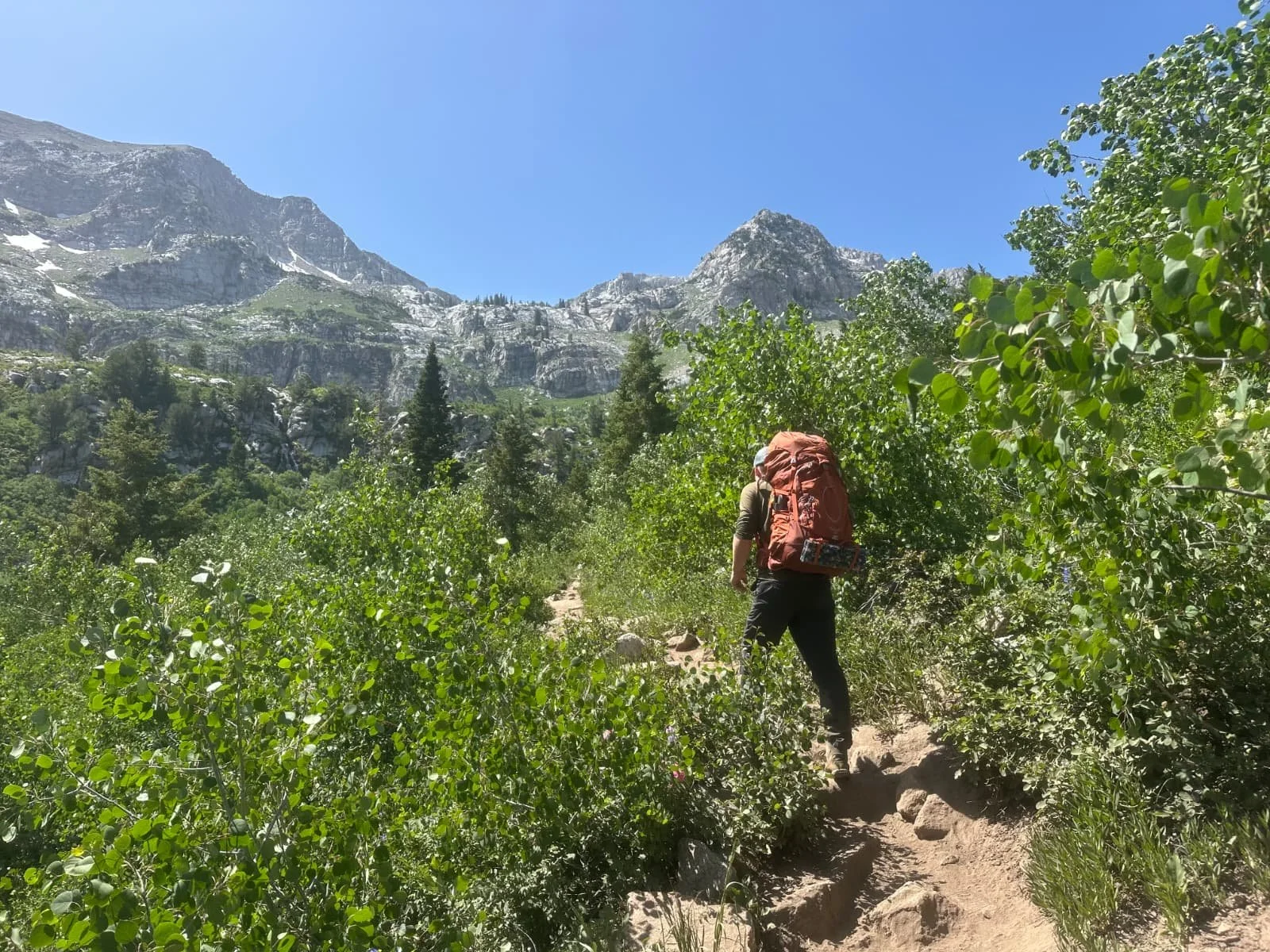 WhatsApp Image 2025-10-22 at 10.07.46 AM.jpeg