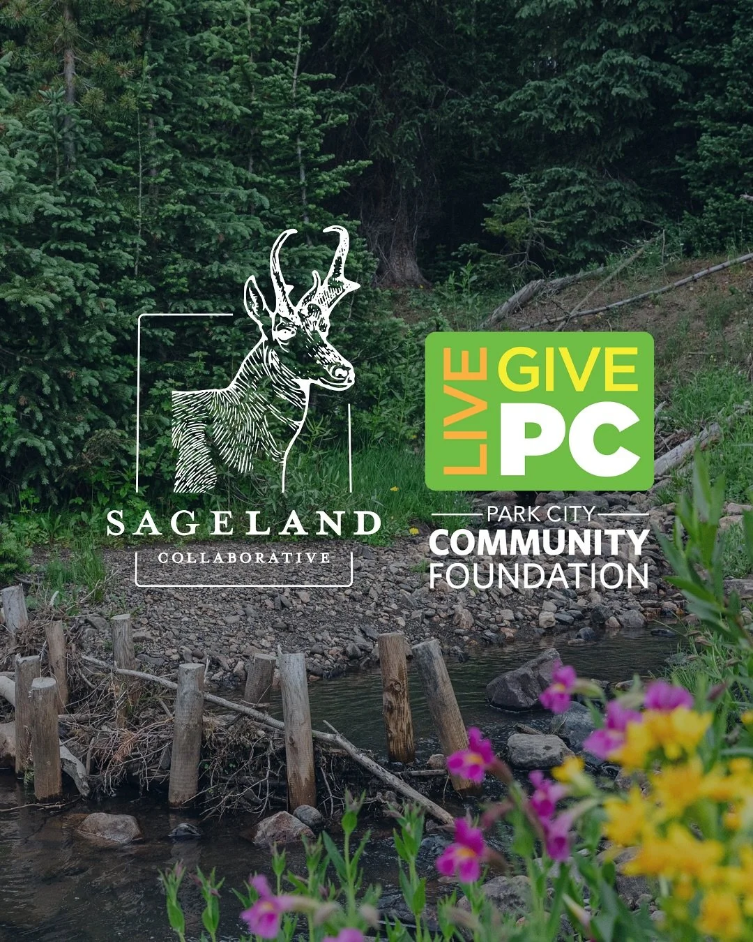 💚🧡 Happy #LivePCGivePC! 🧡💚

Today, the Park City &amp; Summit County communities come together to celebrate this annual day of extreme giving. From Kimball Junction to the high Uintas and the rangelands in between, we are so grateful to work with