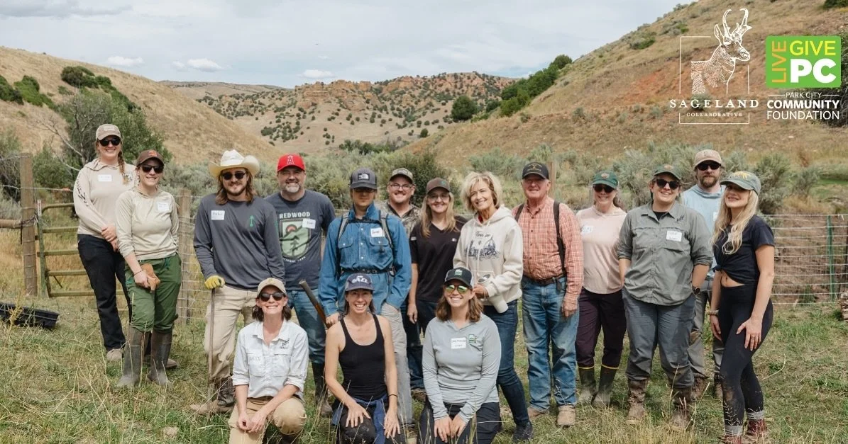 We are beyond grateful to our community for coming together last week during&nbsp;#LivePCGivePC&nbsp;to support wildlife and land conservation in Summit County and beyond. We nearly reached our $5,000 fundraising goal with&nbsp;$4,774 raised by 56 do