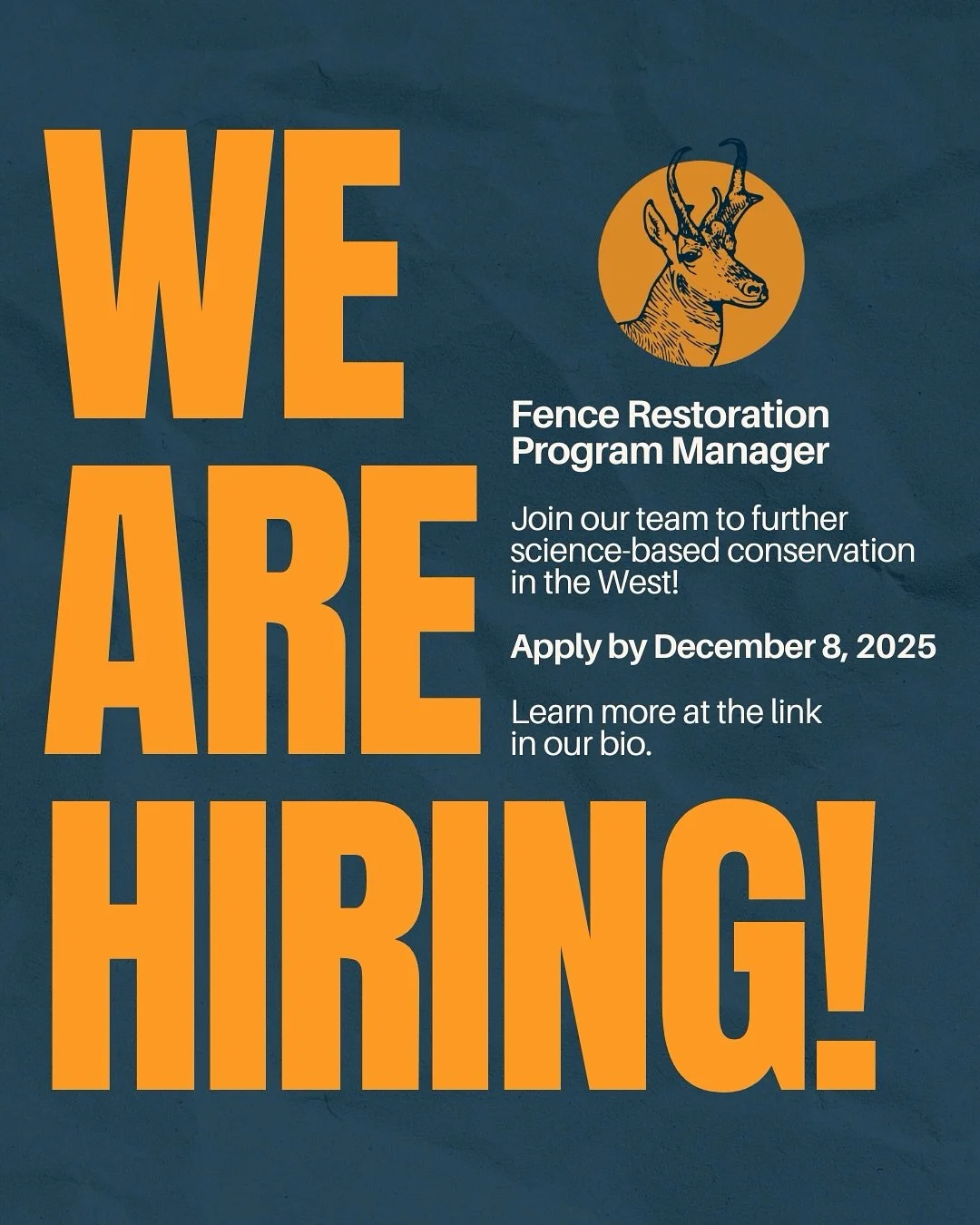 🚨 We&rsquo;re Hiring! 🚨

We&rsquo;re excited to share that Sageland Collaborative is hiring a Program Manager for our Fence Restoration Program!

Are you a top tier project manager with a passion for wildlife migration? Does the thought of implemen