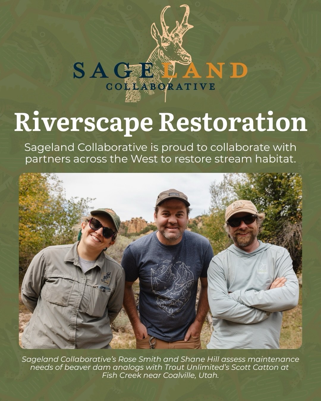 Did somebody say fish? 🐟

While beavers, pollinators, and amphibians get a lot of love, we would be remiss to not talk about the benefits this restoration work has on our native fish populations!

We are proud to work in collaboration with partners 