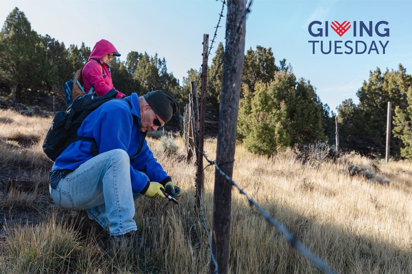 Through next Tuesday, one of our amazing volunteers is extending a challenge &mdash; he&rsquo;s matching your donation up to $7,000 to DOUBLE your impact for Utah&rsquo;s wildlife! 🦌❤️

Bob Huebner is one of Sageland Collaborative&rsquo;s most dedic
