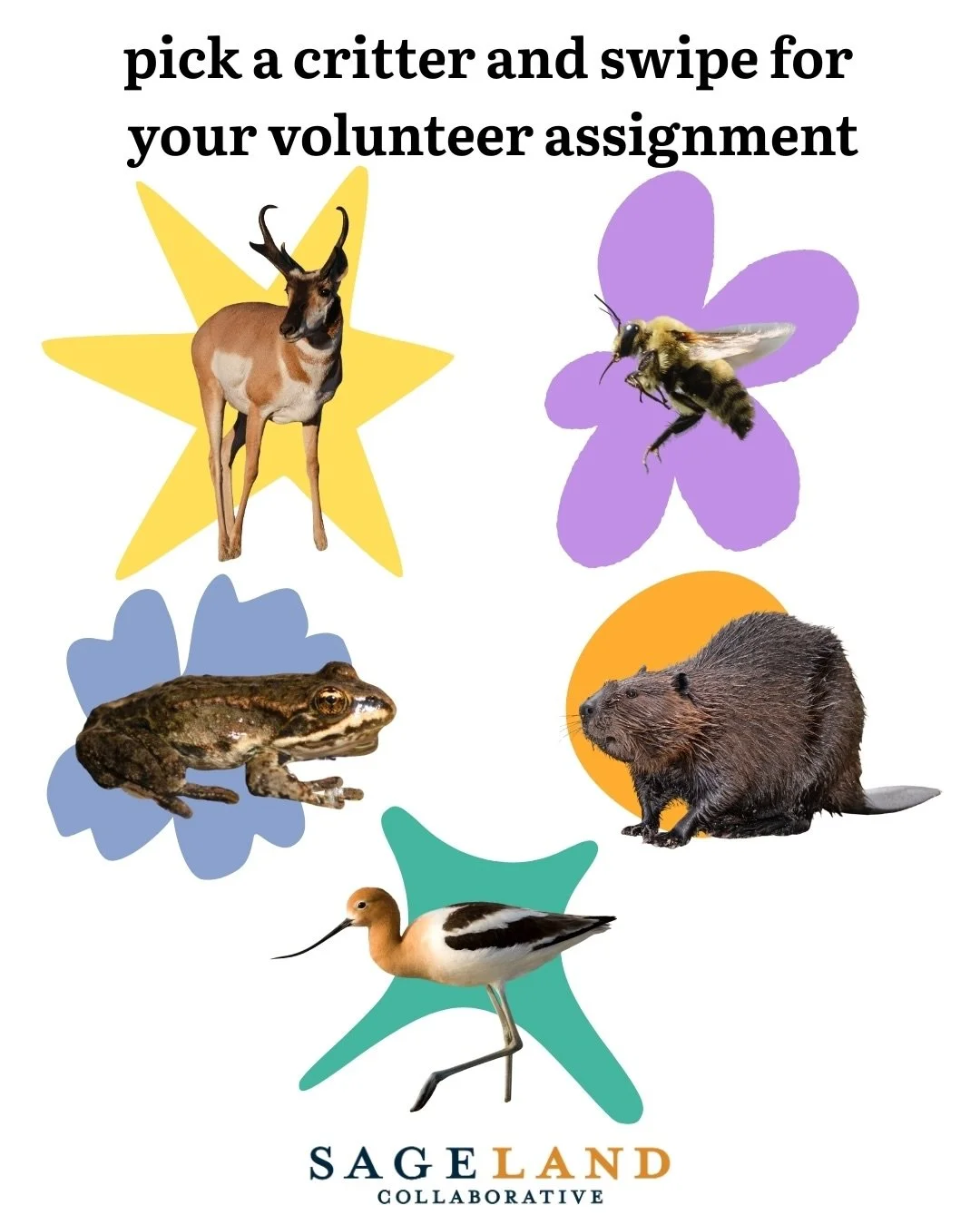 Your critter = Your Dream Volunteer Project!

🦌🐝🐸🦫🐦&zwj;⬛

While our program field seasons have wrapped up for the year, our team have put on our planning hats and cannot wait to share what we have in store for 2026!

To learn more about our com