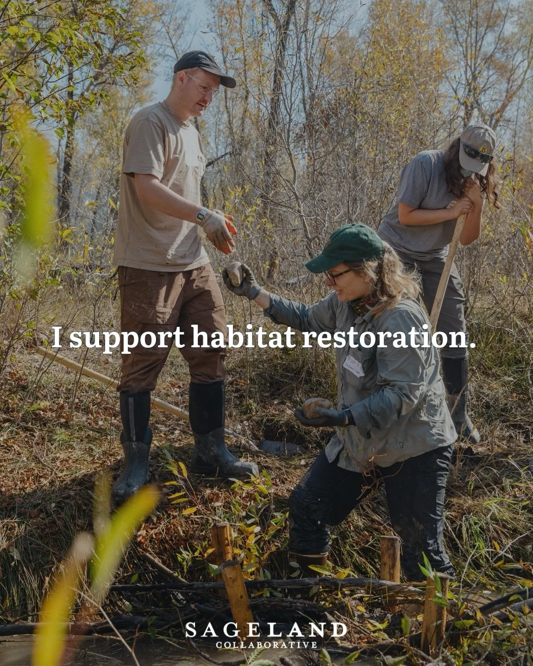 We can think of a million reasons to support the important work that we do alongside our partners and volunteers to conserve Western wildlife &amp; landscapes - from safeguarding the species that we love and restoring the habitats that sustain them t
