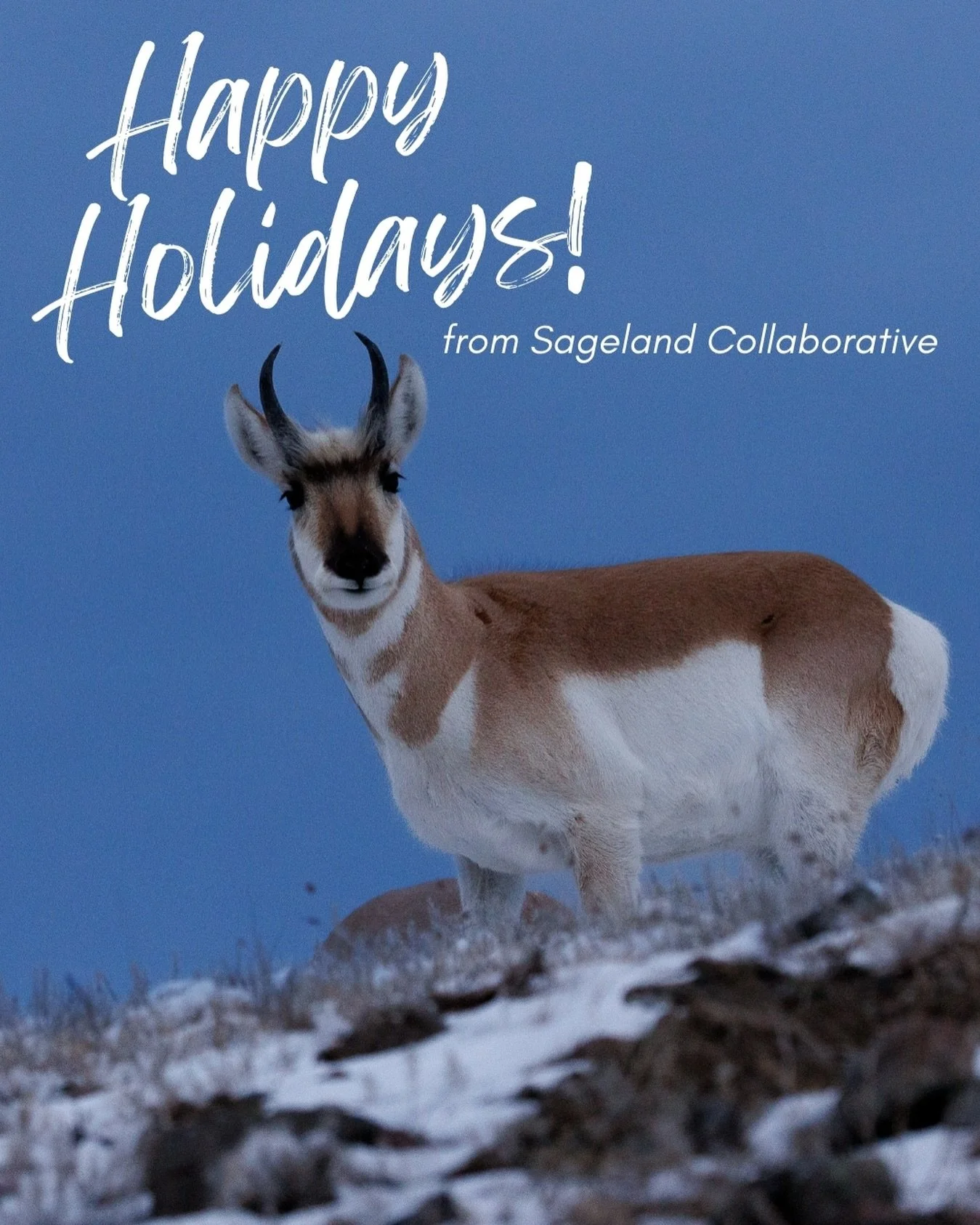 From all of us here at Sageland Collaborative &mdash; Happy Holidays!

Our team is taking time to rest over the next few days before we dive into our 2026 planning, and we hope that you&rsquo;re also able to relax and spend time with your loved ones!