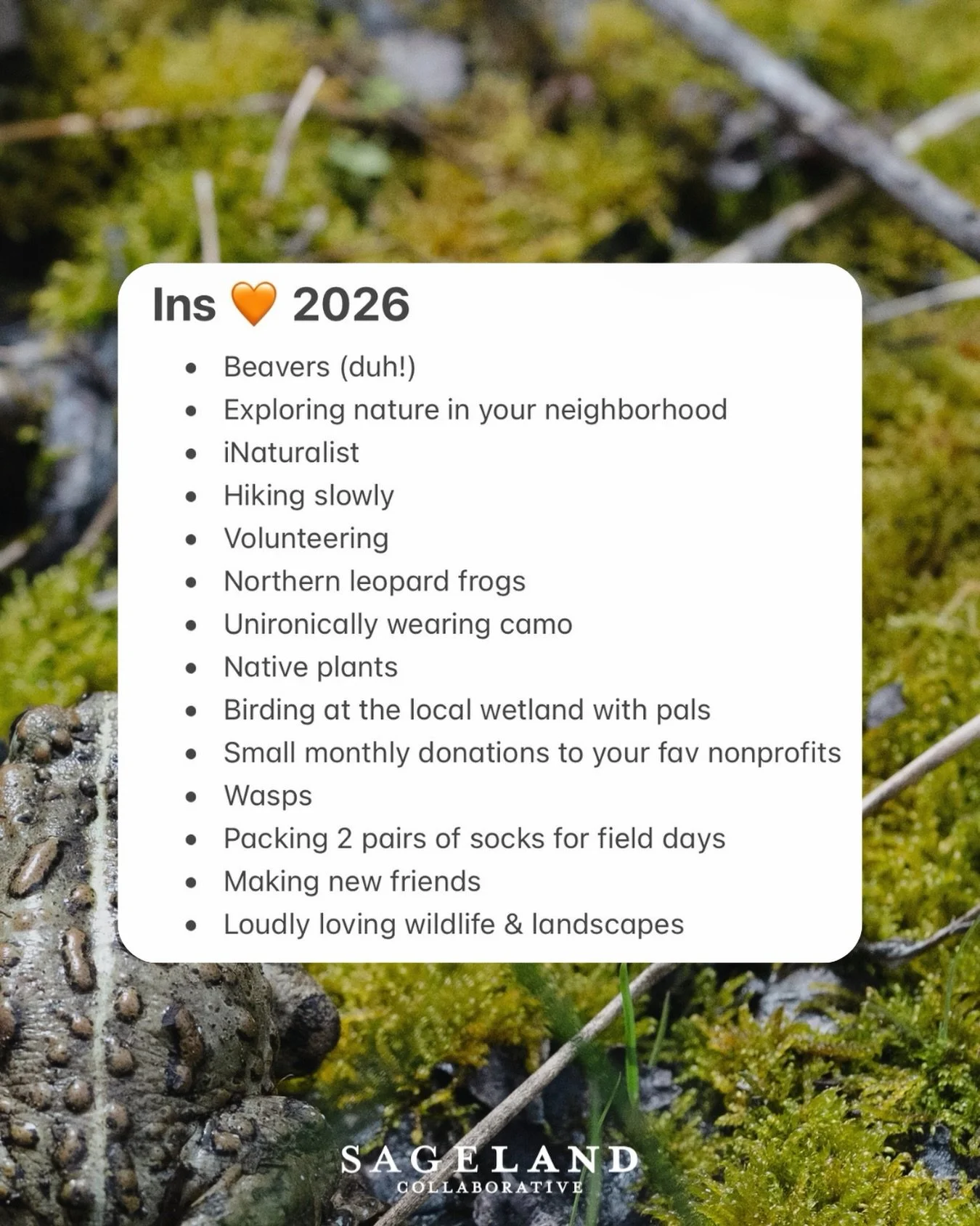 So&hellip; are you in?

🐸🐝🧡🦋🦫

Time flies and field season will be here before we know it, so be sure to follow along to stay up to date on opportunities to get involved in our habitat restoration and wildlife conservation projects in 2026!