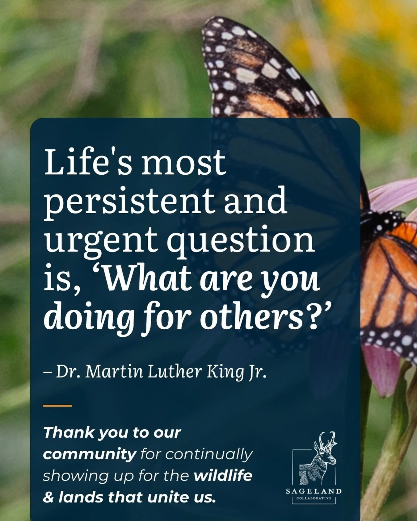 &ldquo;Life&rsquo;s most persistent and urgent question is, &lsquo;What are you doing for others?&rsquo;&rdquo;

The legacy of Dr. Martin Luther King Jr. grounds us in the importance of, above all, community.

It&rsquo;s through community-based colla