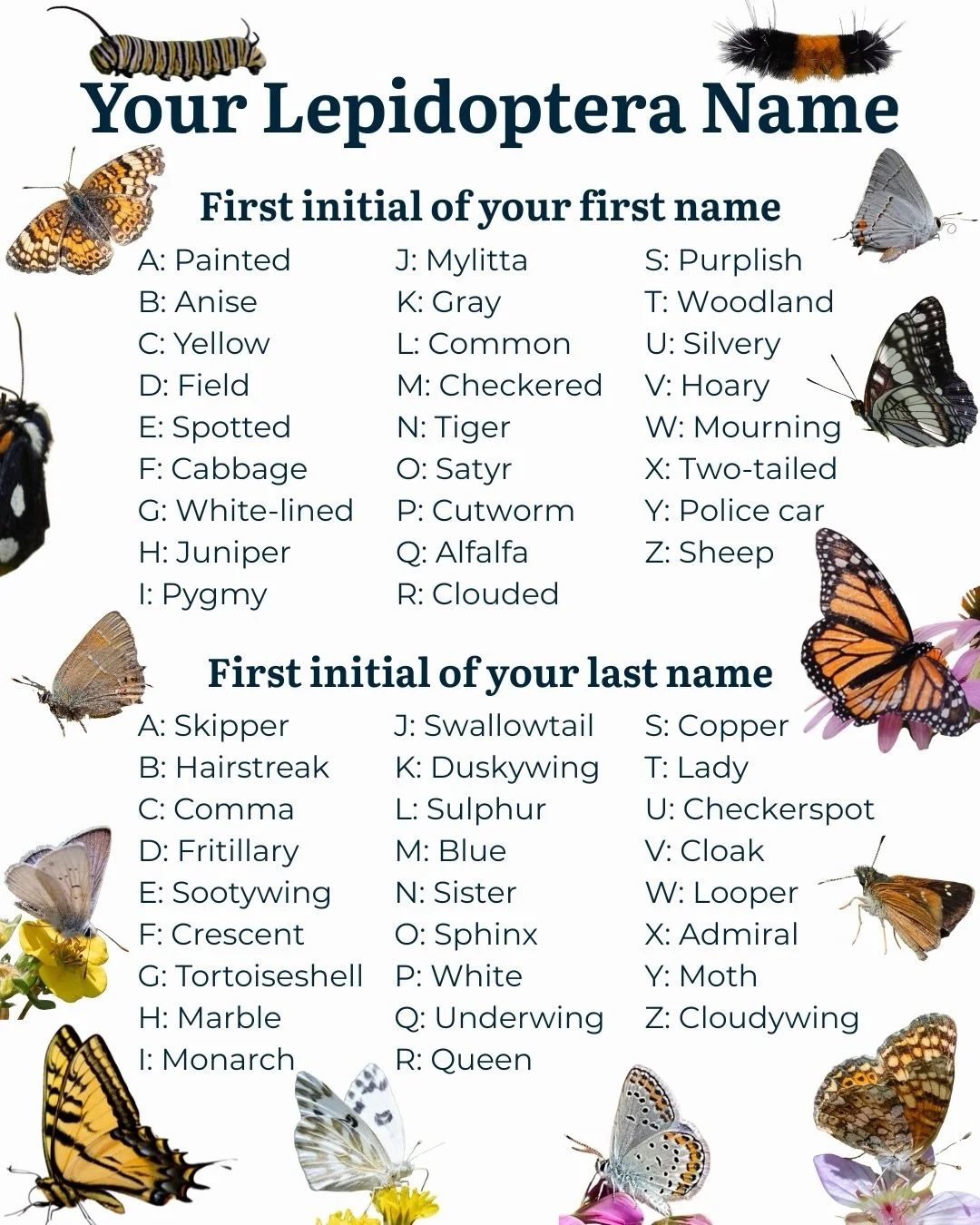 Have you been seeing our fluttering friends out and about? 🦋

This year, we&rsquo;ve already seen a couple dozen Lepidoptera observations logged in the @utahpollinatorpursuit iNaturalist project, including a variety of caterpillars and a few adult b