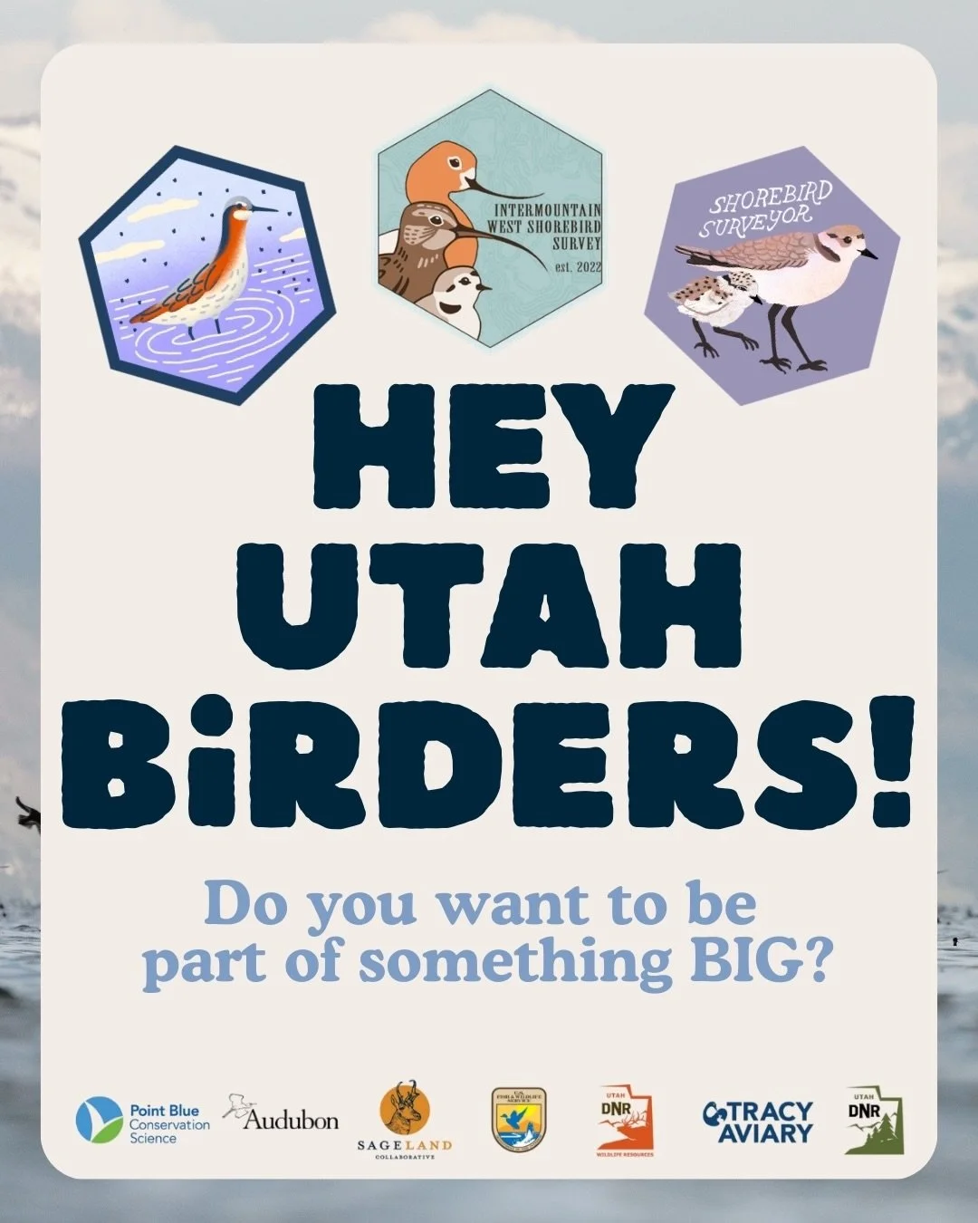 Calling All Utah Birders!

We&rsquo;re seeking top-tier birders to join us for Utah&rsquo;s Spring 2026 Intermountain West Shorebird Survey, happening on Saturday, April 25th (backup date of May 2nd.)

Sign-ups are now open for Utah&rsquo;s Spring 20