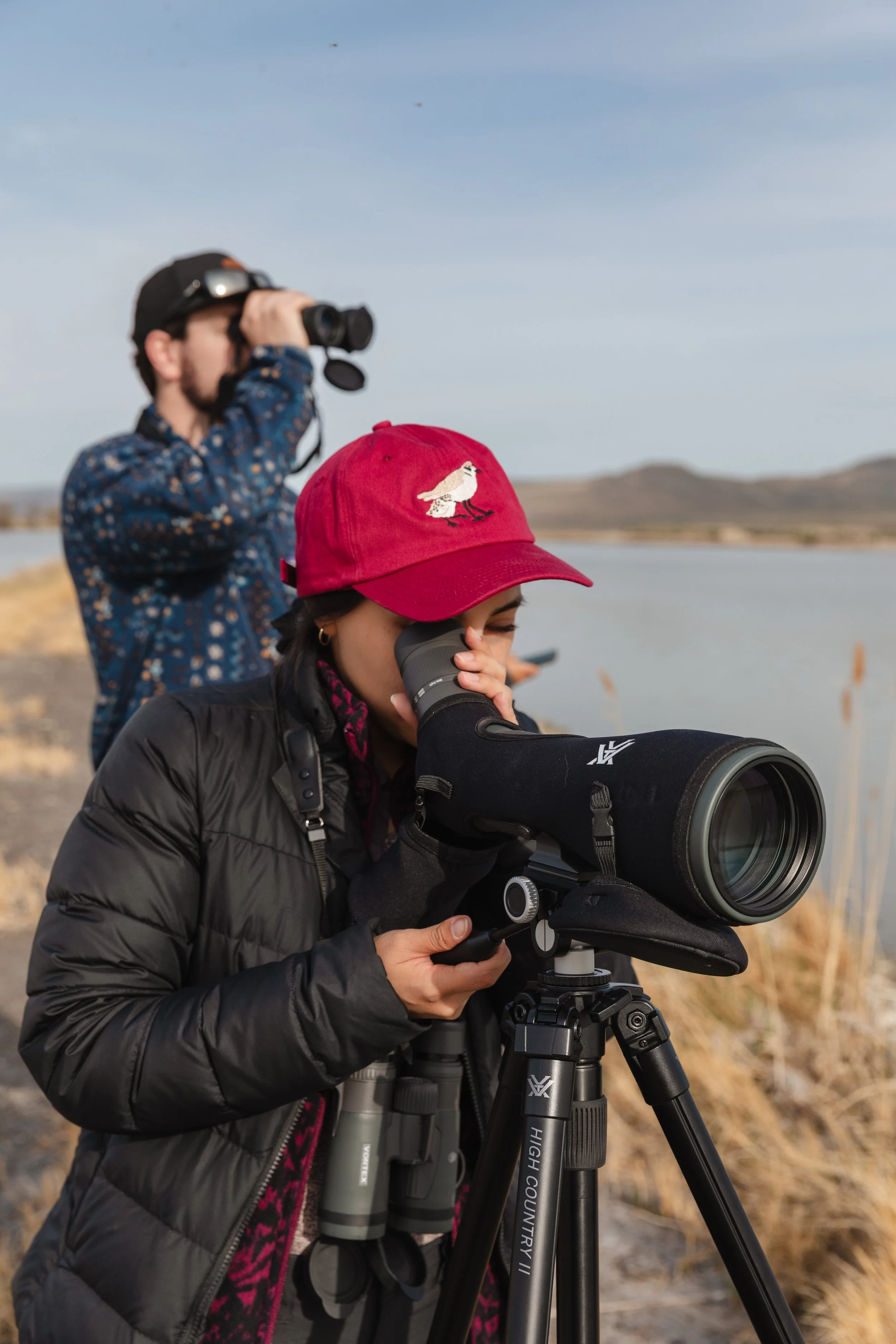 Great Salt Lake &amp; Shorebirds