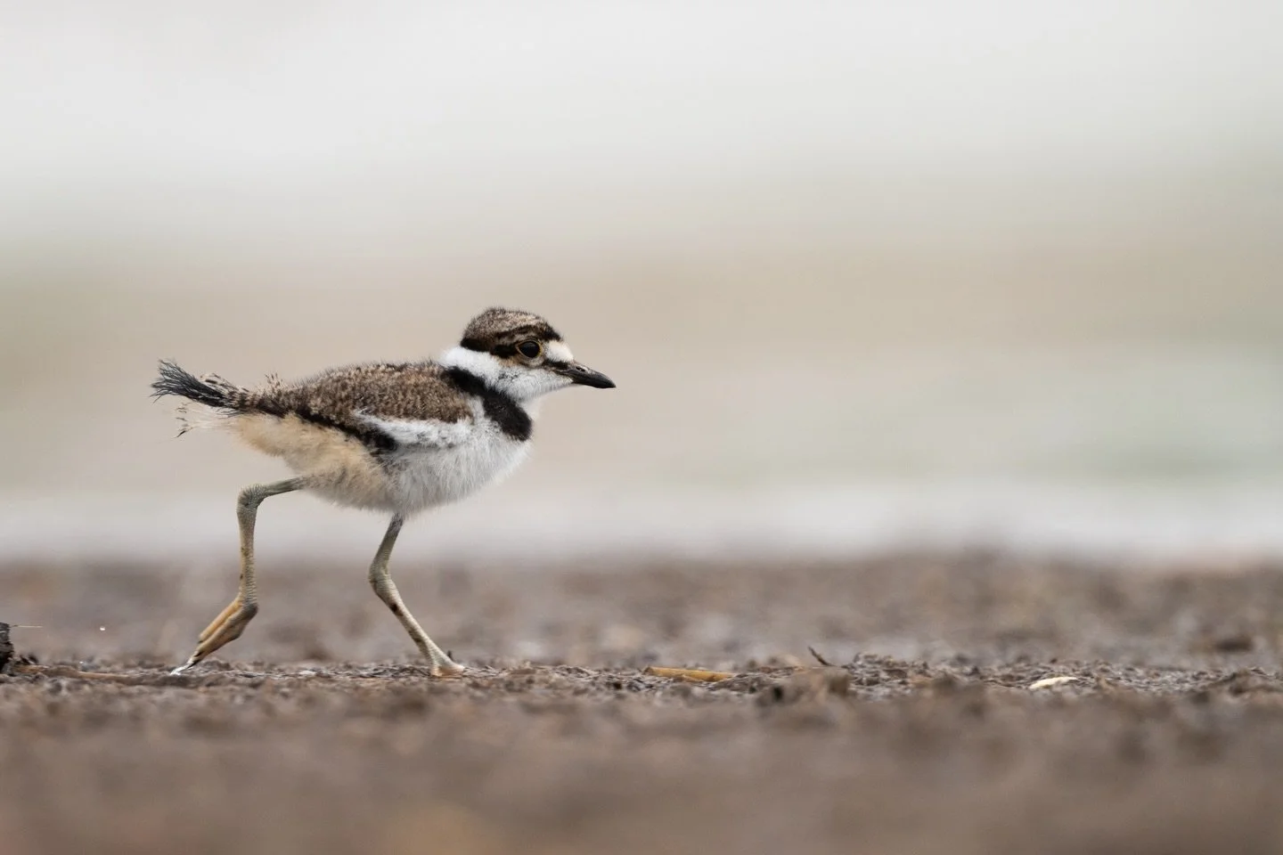 Happy March!

Can you feel it in the air? It&rsquo;s nearly field season!

This month, we kick off our 2026 project trainings, which means that it&rsquo;s just about time to dust off our waders and boots and start planning out our summer!

Here&rsquo