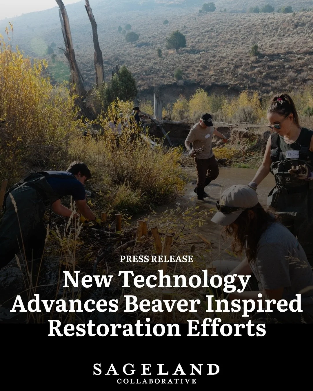 Just us hopping on to share some breaking news: New technological advances are paving the way to advance beaver inspired restoration efforts! 🦫🧡

For years, we have worked with volunteers and partners to mimic the positive impacts of beaver to impr