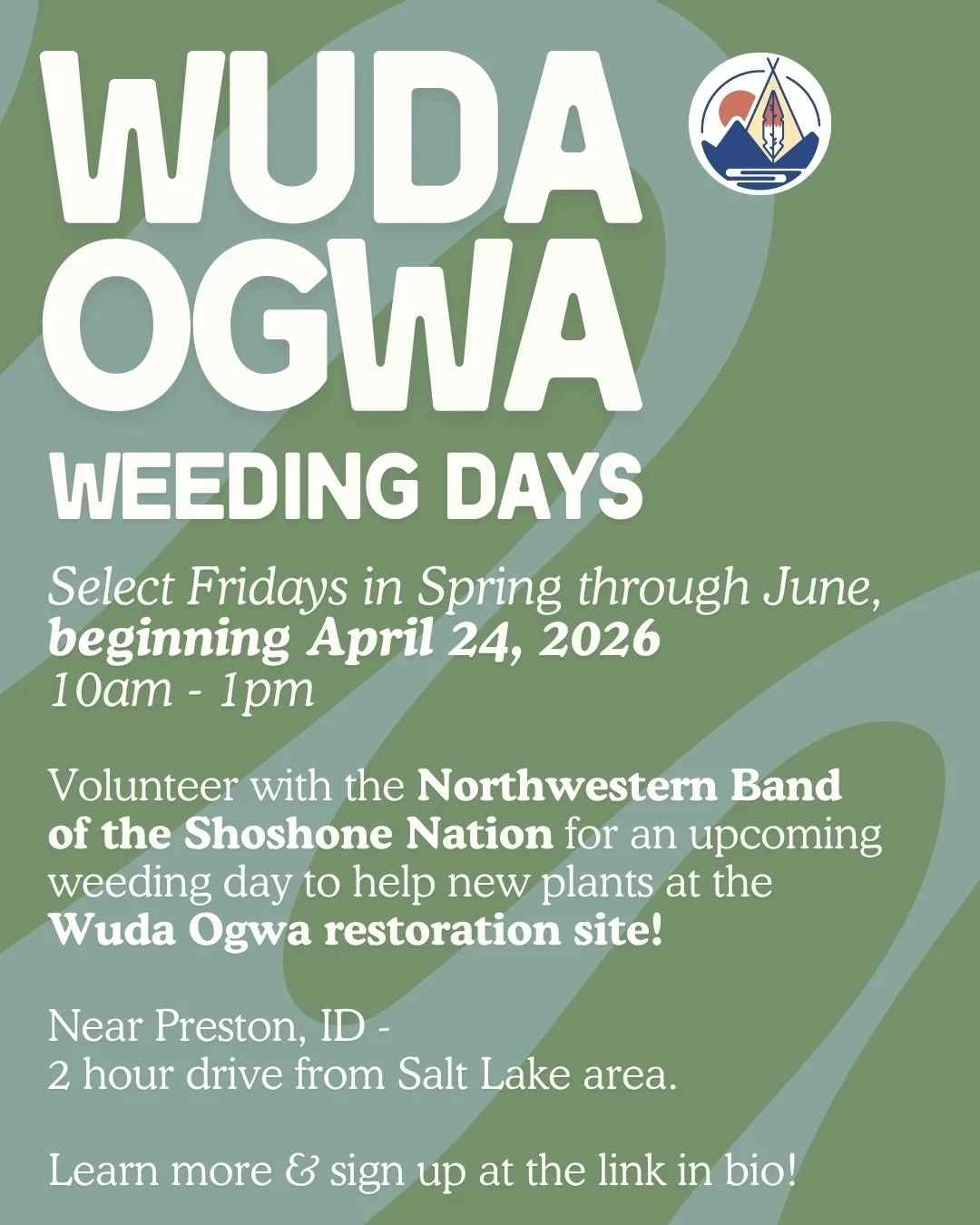 Join our friends with the Northwestern Band of the Shoshone Nation this spring to improve site conditions at the Wuda Ogwa restoration site! Volunteers will pull weeds to help new native plants thrive following the Spring Planting Days.

Spring/Summe