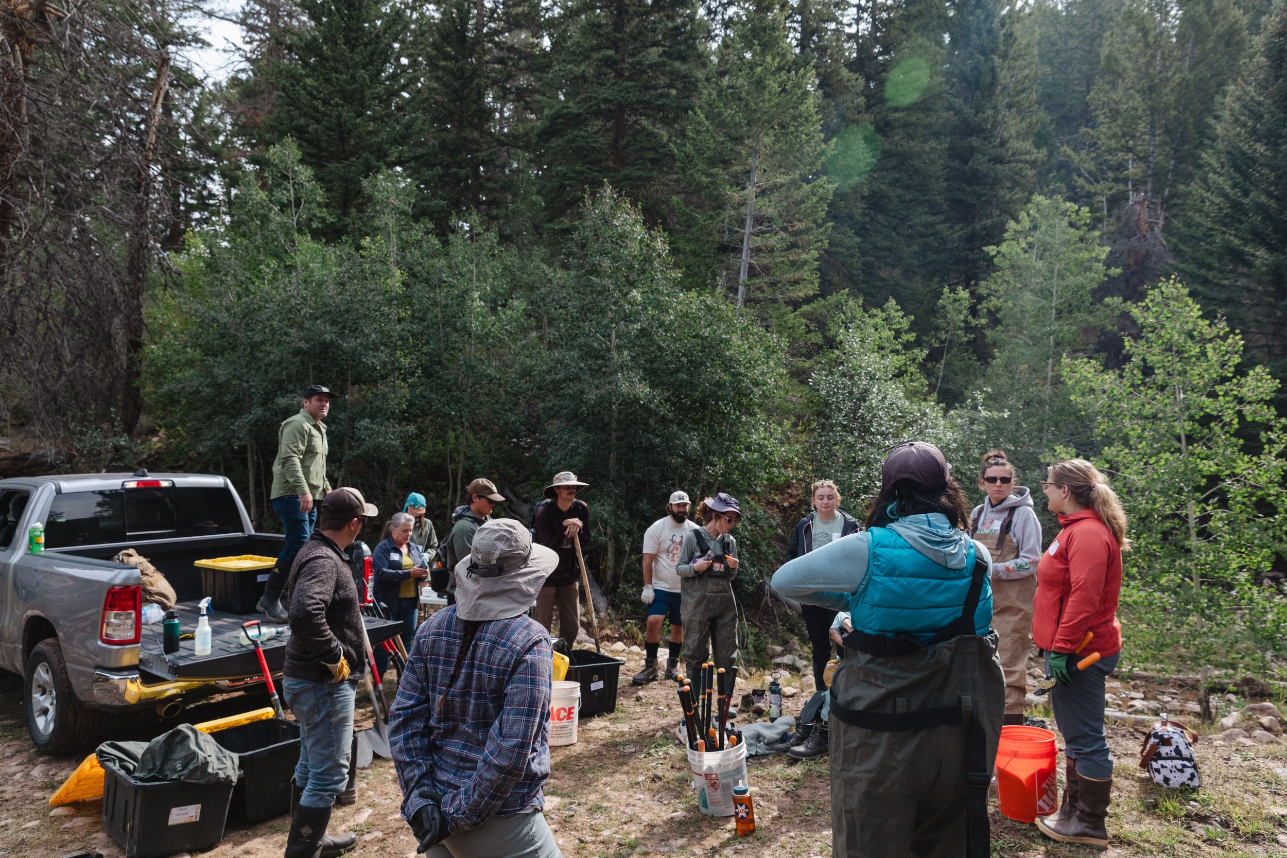 082925 - Red Hole Creek BDAs © Sierra Hastings-3.jpg