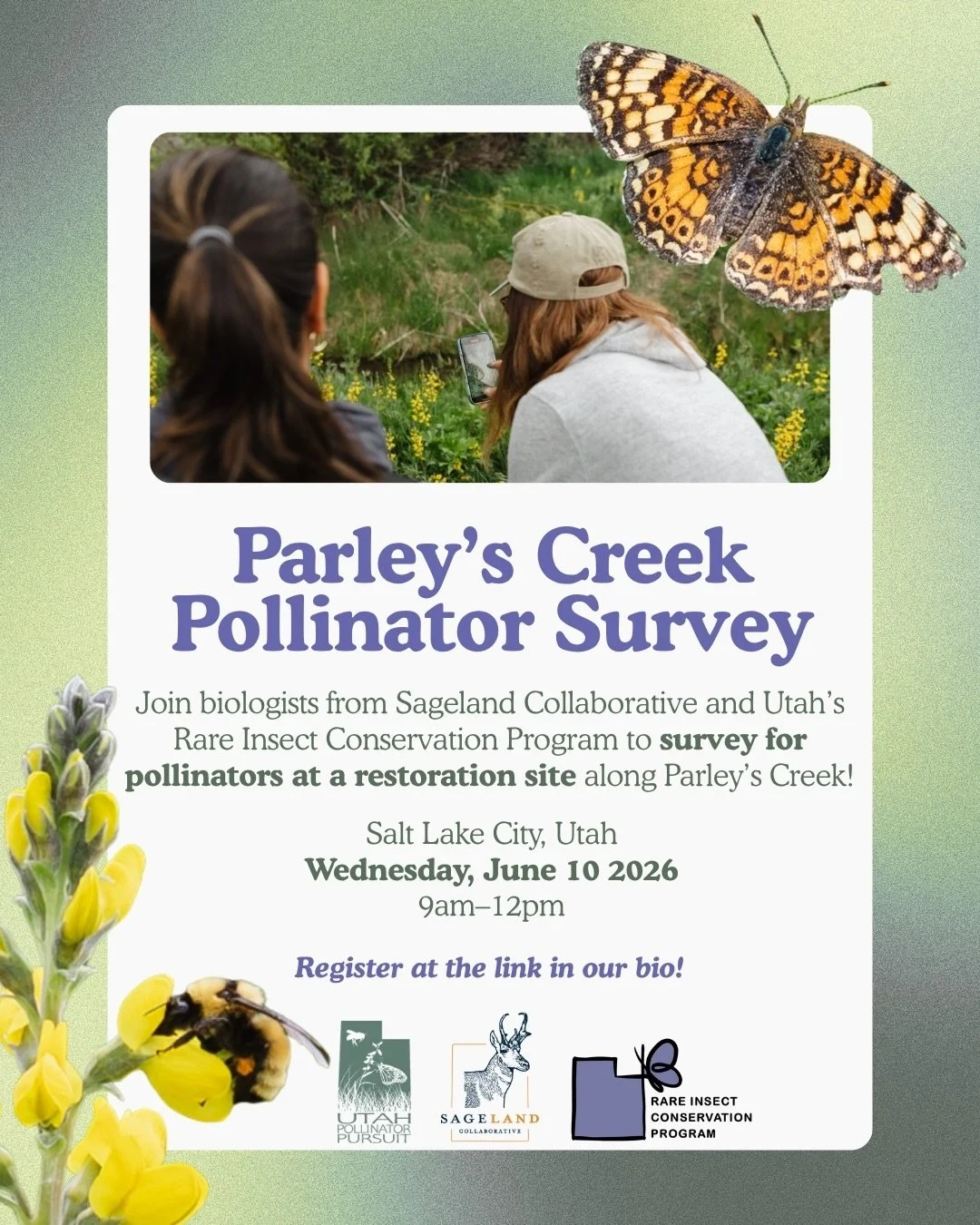 Join biologists from @sagelandcollab, @utahpollinatorpursuit, and @rareinsectconservationprogram to survey for pollinators at a restoration site along Parley&rsquo;s Creek!

When: Wednesday, June 10, 2026 from 9am-12pm Where: Parley&rsquo;s Creek (15