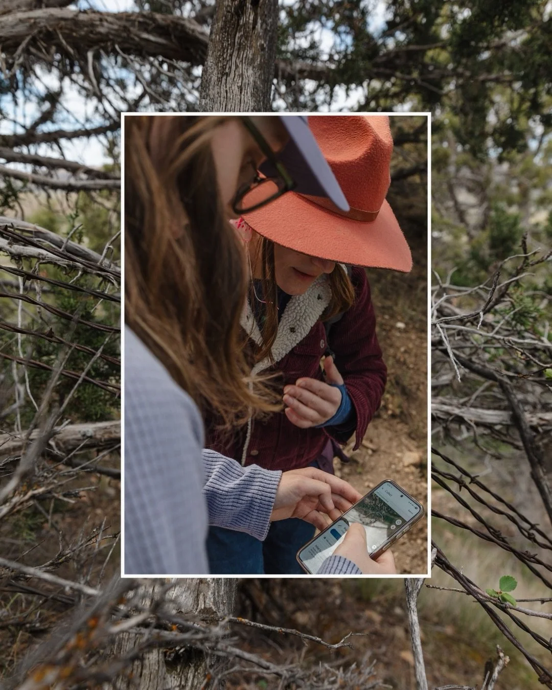 Sageland Collaborative is proud to offer opportunities to gain hands-on fieldwork experience, foster connections in the natural resources field, and engage communities in conservation work.

But these experiences require a lot of careful planning, tr