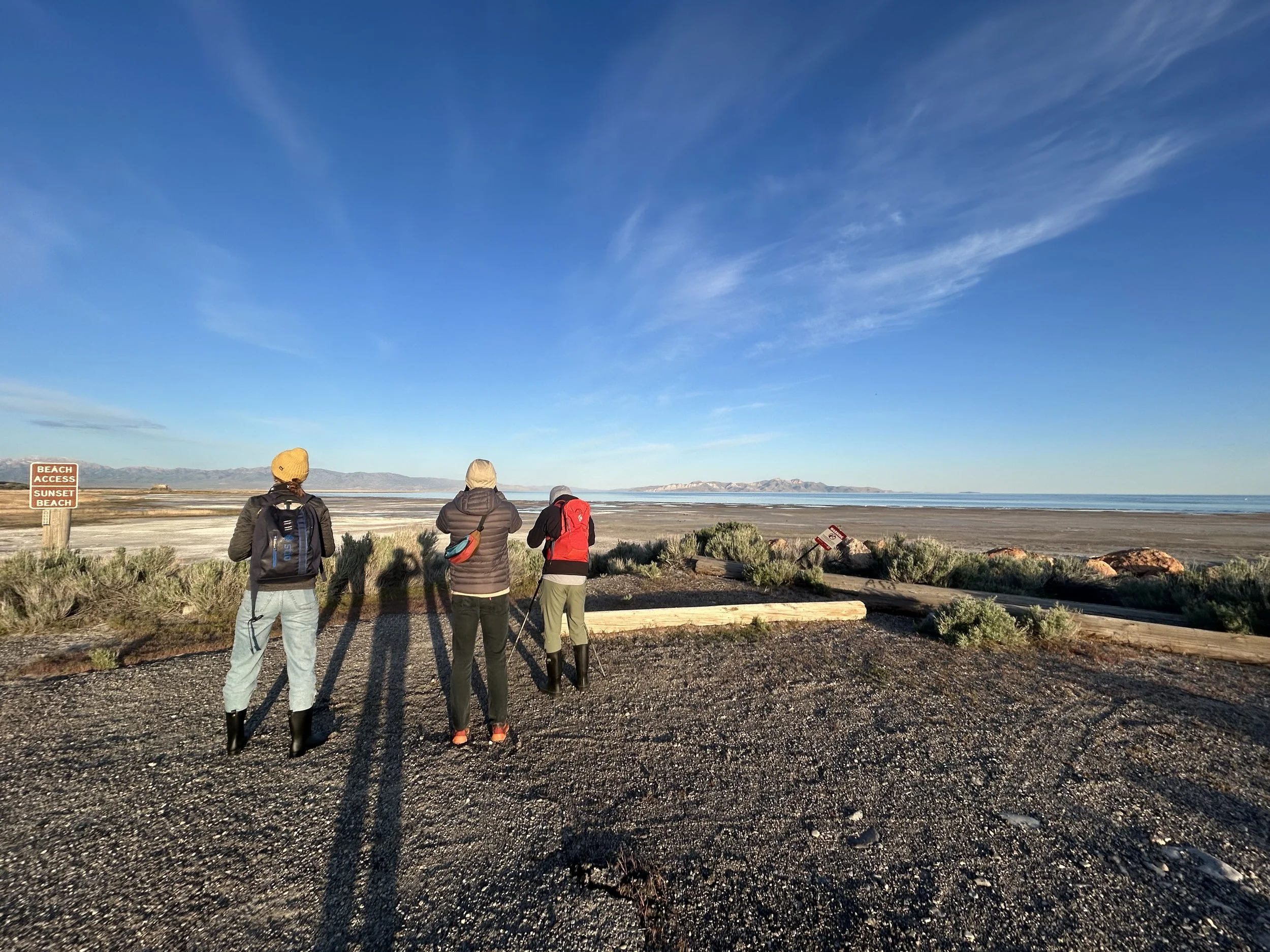 Saltair © Lily Bosworth(1).jpeg