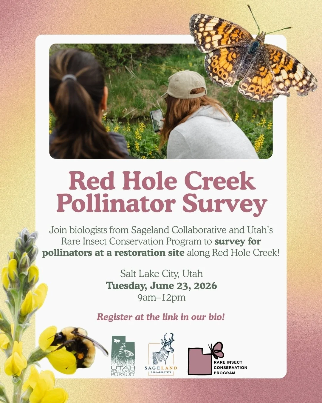 Join biologists from @sagelandcollab, @utahpollinatorpursuit, and @rareinsectconservationprogram to survey for pollinators at a restoration site along Red Hole Creek at Haynes Ranch! 🦋🧡

When: Tuesday, June 23, 2026 from 9am-12pm
Where: Red Hole Cr