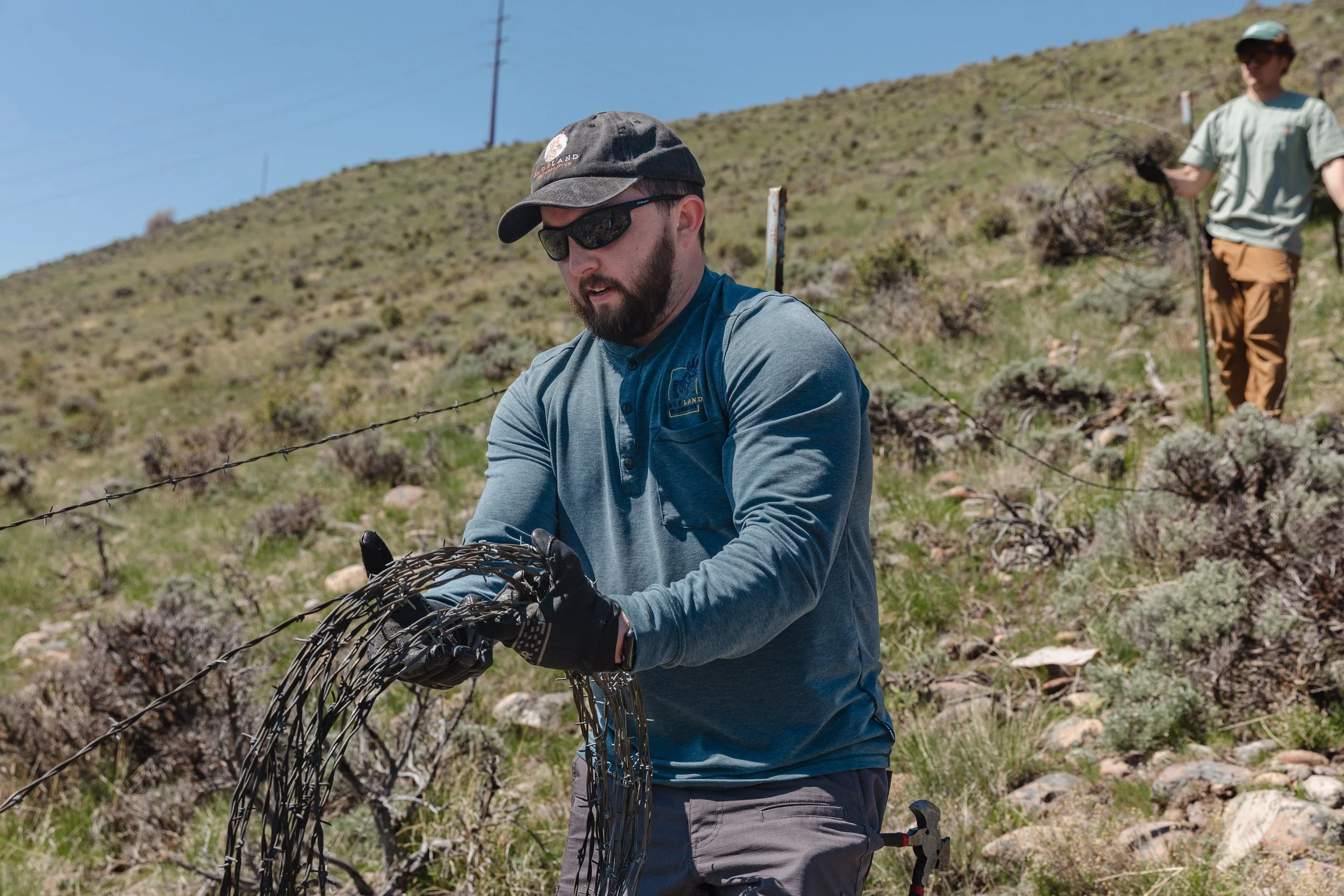 050325 - Fence Removal - © Sierra Hastings-4.jpg