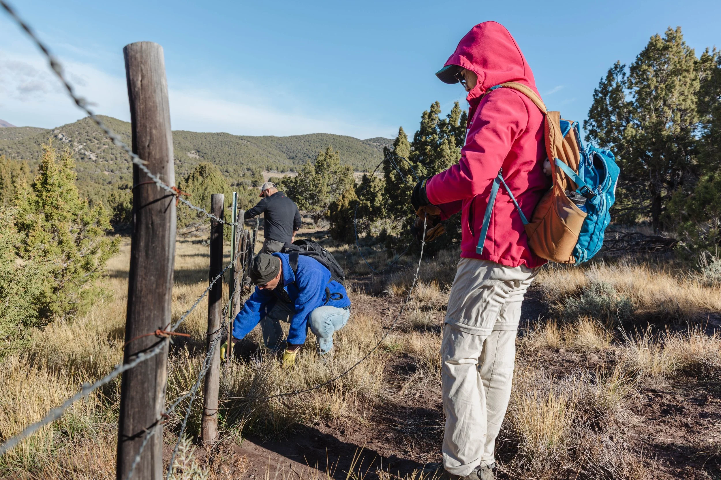 101725 - Cotton's Creek Fence Removal  - © Sierra Hastings-1.jpg