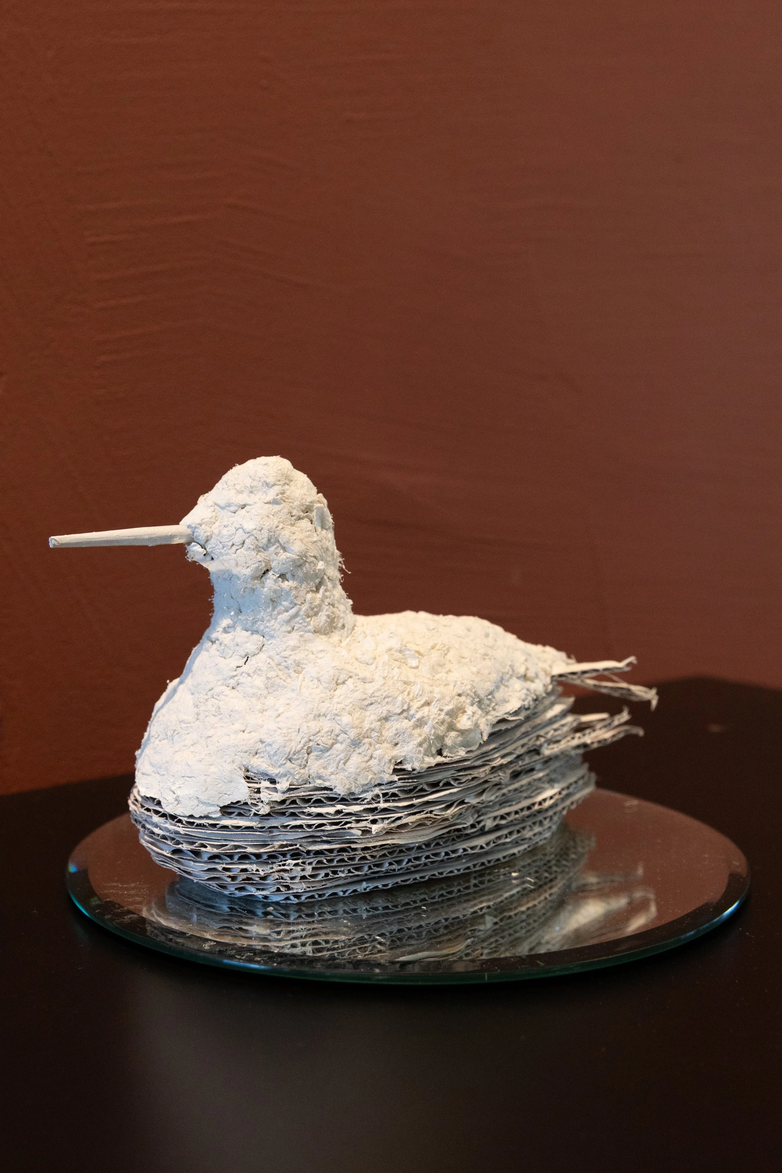 Sci-Art Gallery Exhibit © Sierra Hastings-12.jpg