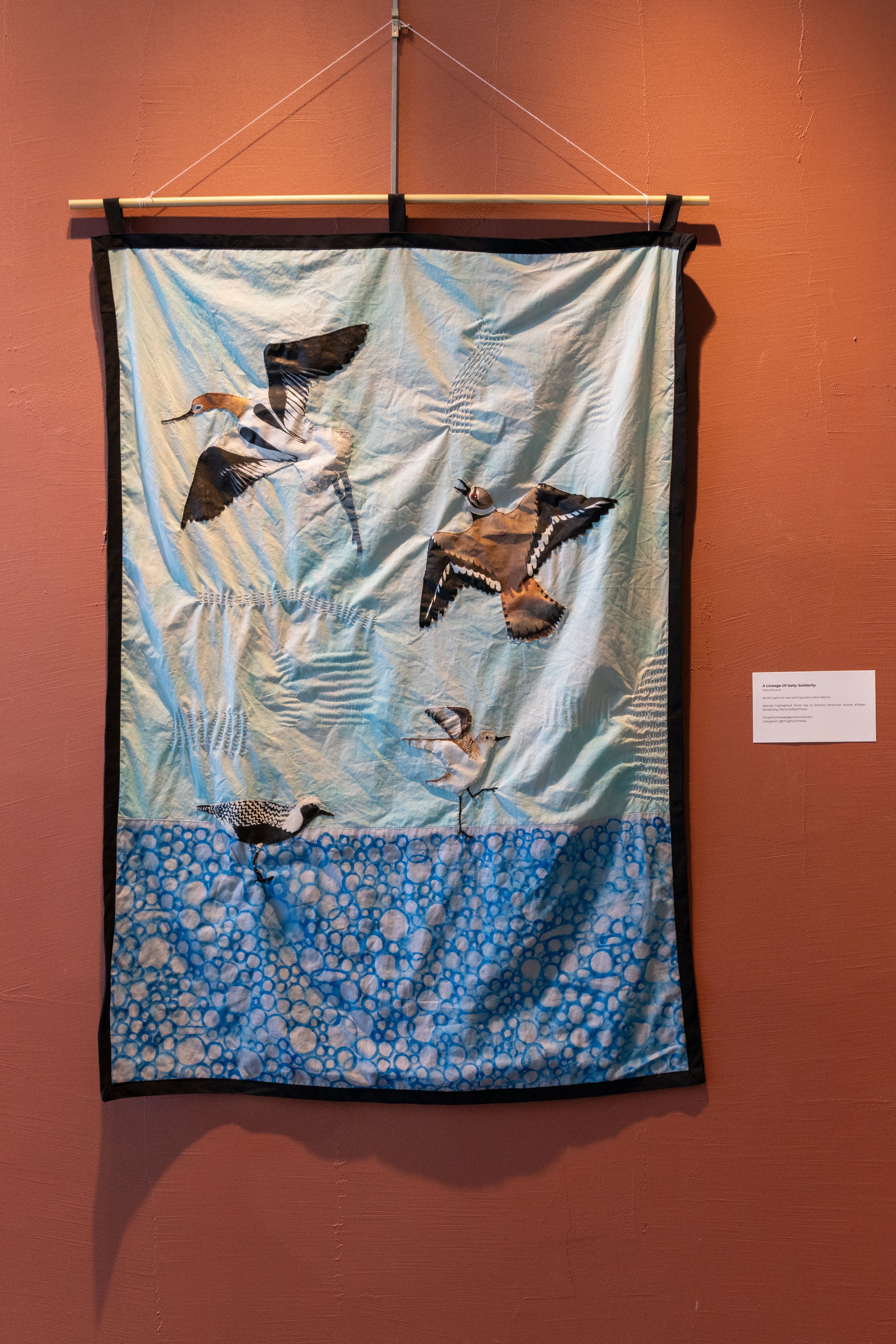 Sci-Art Gallery Exhibit © Sierra Hastings-15.jpg