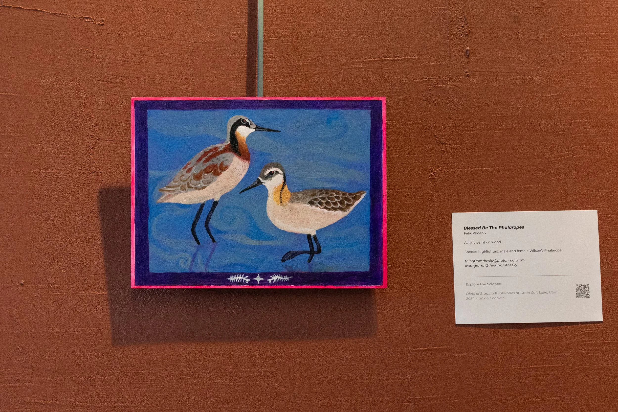 Sci-Art Gallery Exhibit © Sierra Hastings-16.jpg
