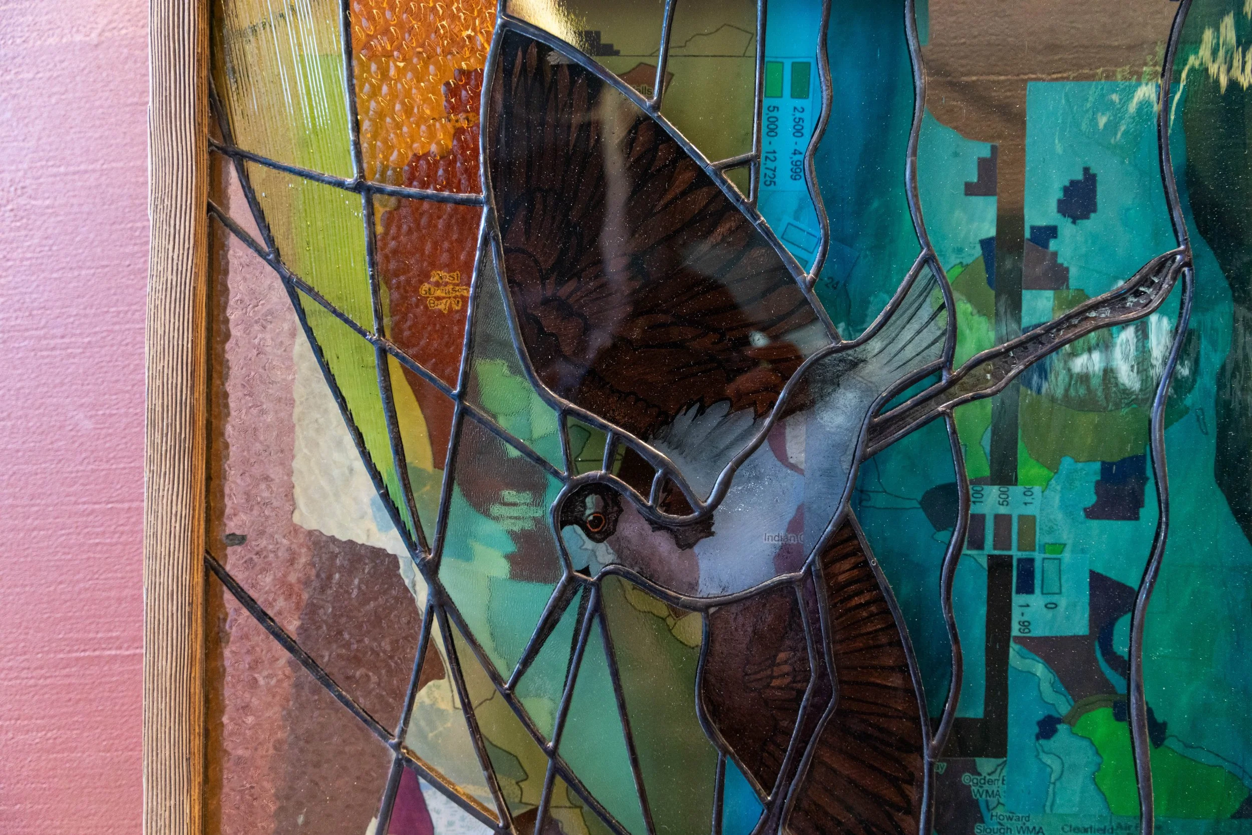 Sci-Art Gallery Exhibit © Sierra Hastings-6.jpg