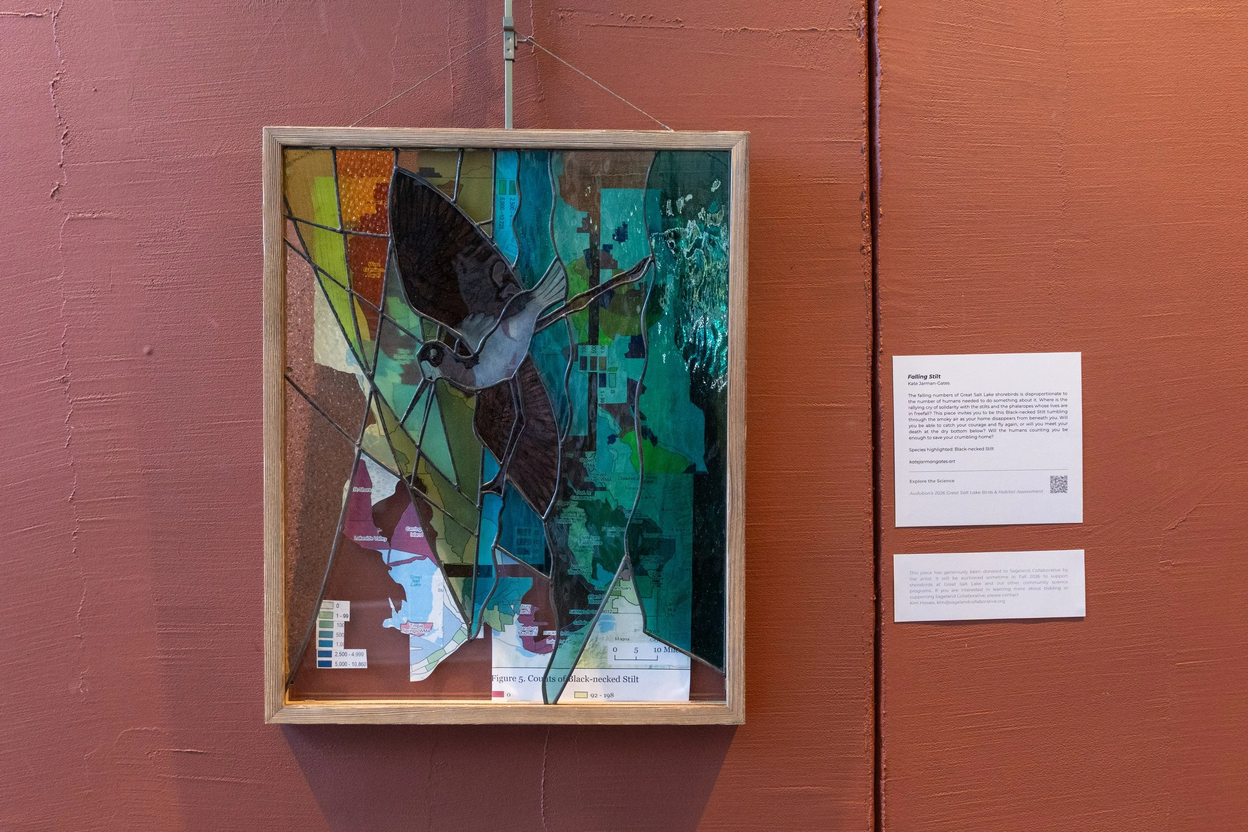 Sci-Art Gallery Exhibit © Sierra Hastings-1.jpg