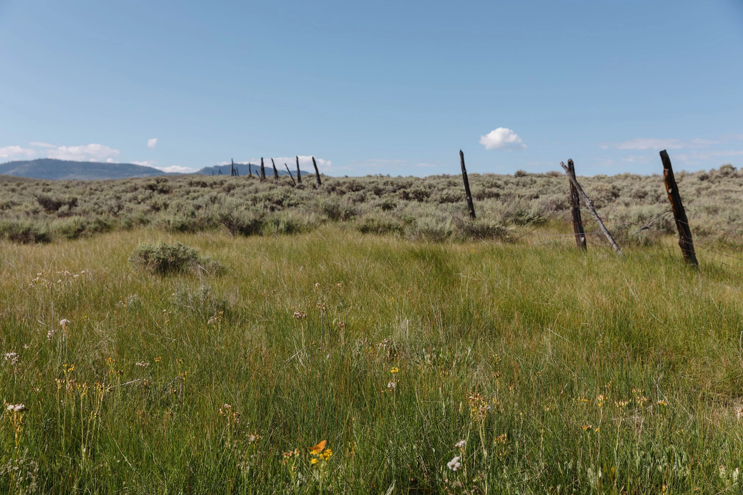 073126 - Strawberry Reservoir Fence Pull © Sierra Hastings-6.jpg