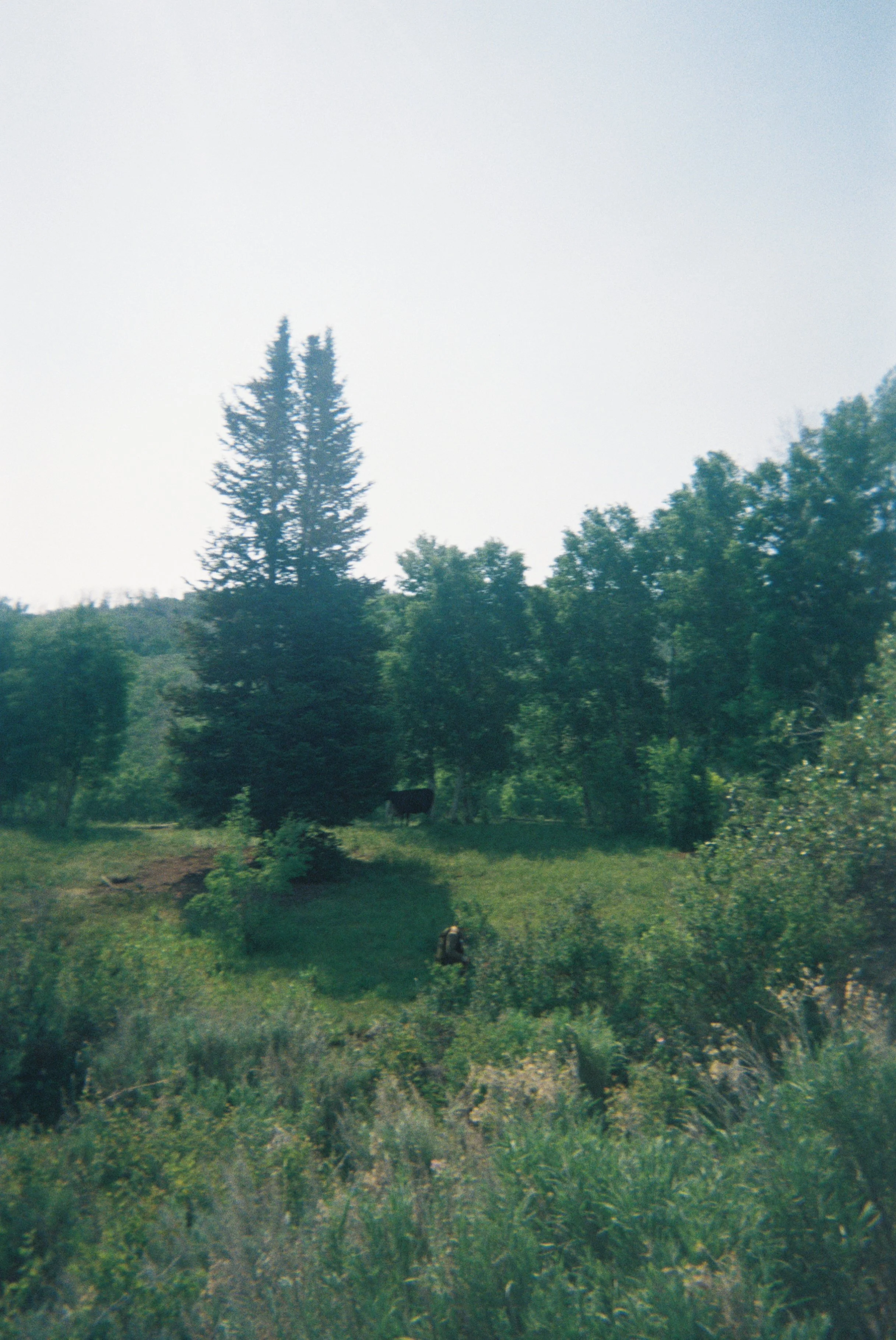 2026 Seasonal Camera_Kort-16.jpg