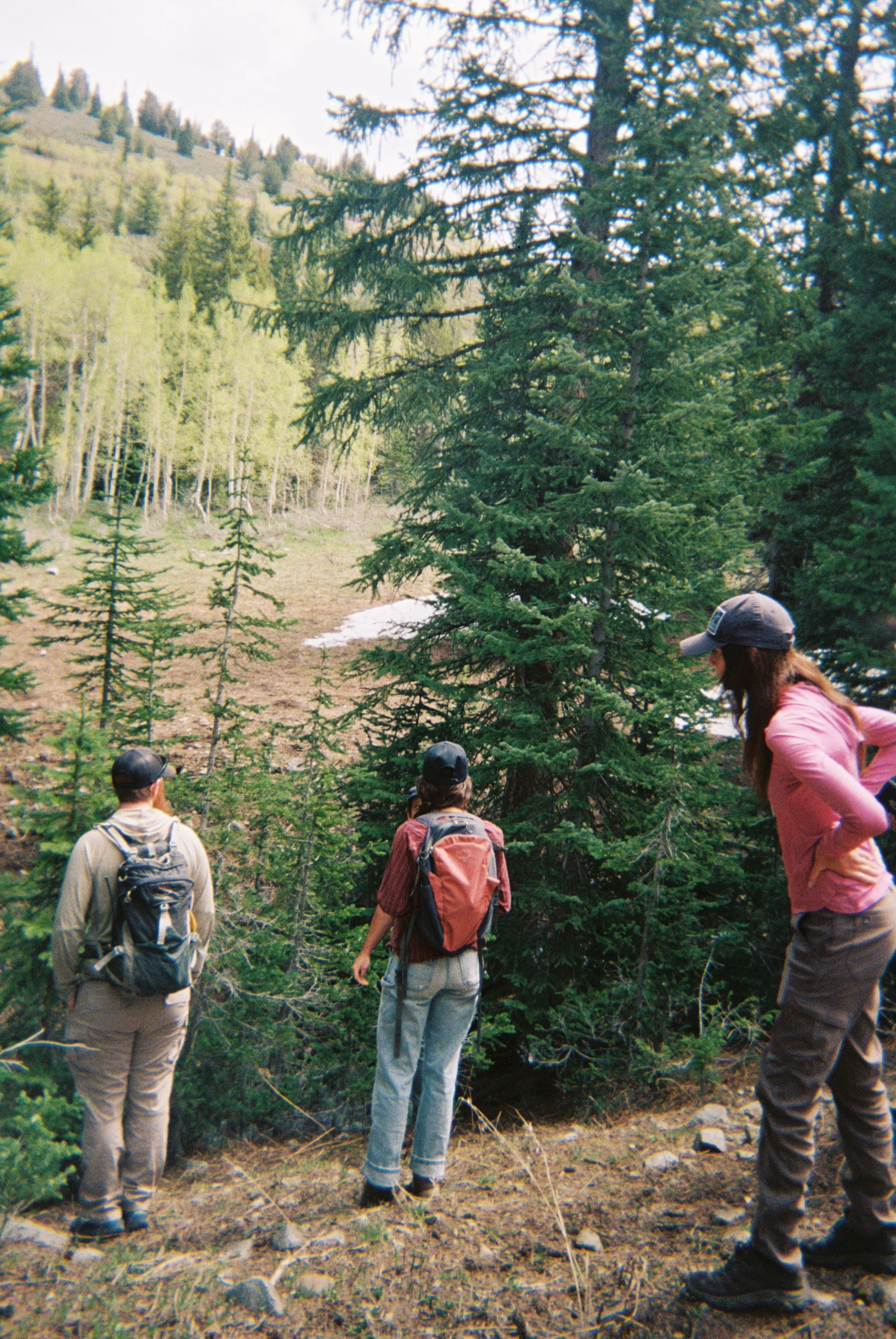 2026 Seasonal Camera_Kort-1.jpg