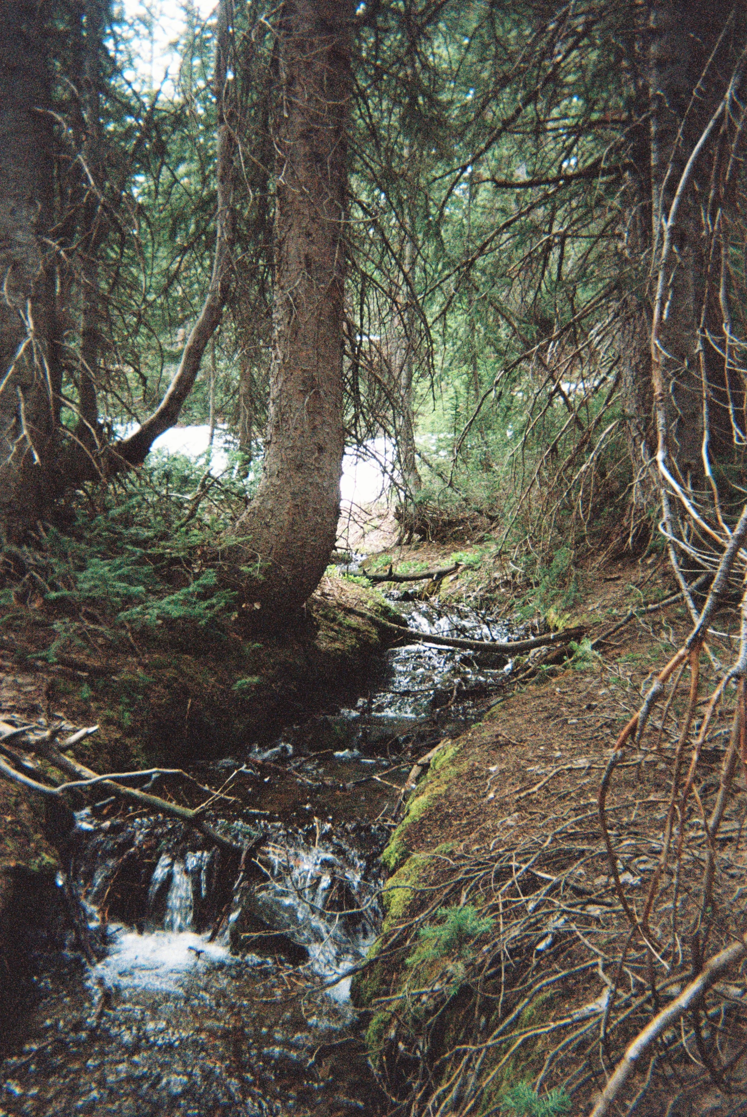 2026 Seasonal Camera_Kort-2.jpg