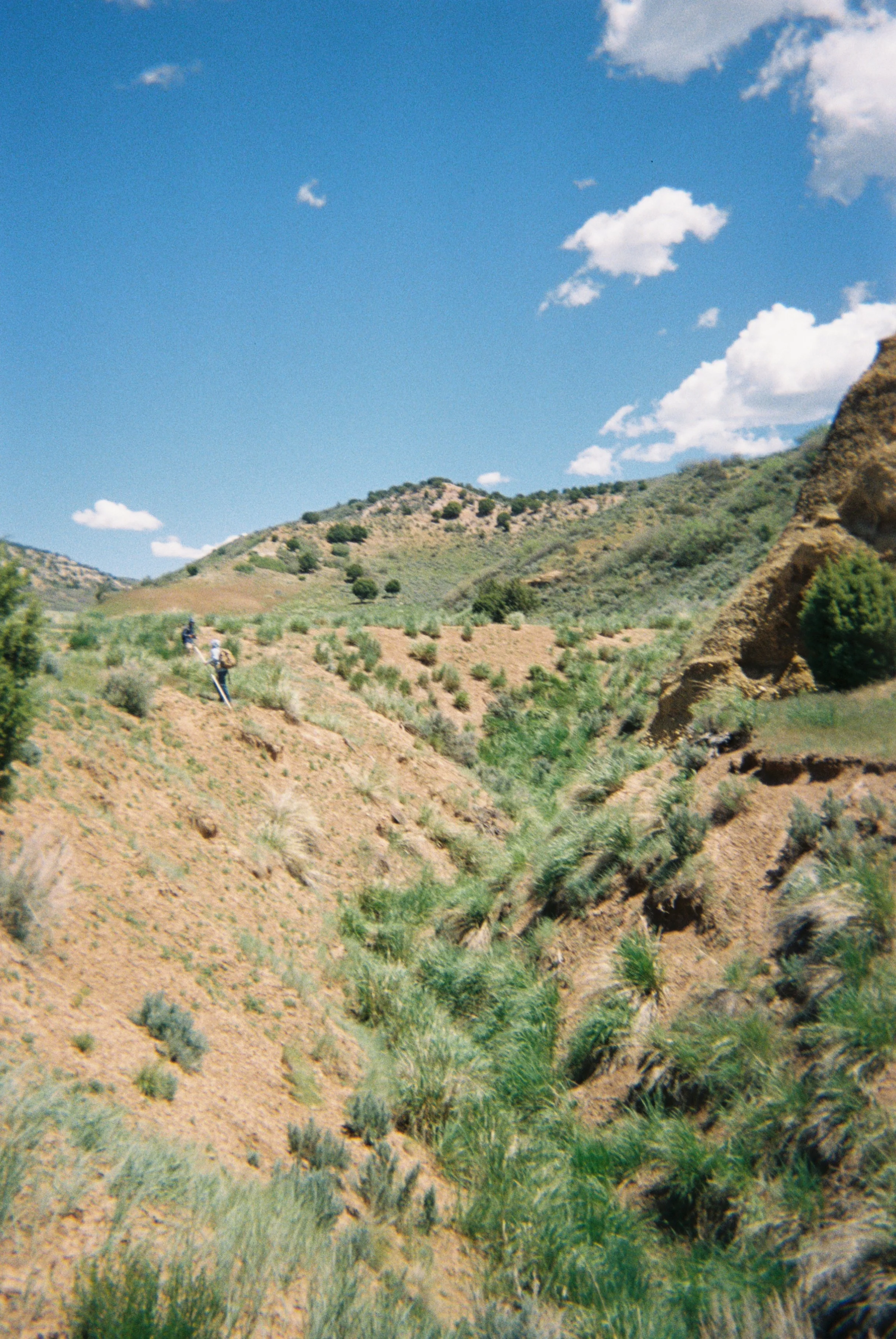 2026 Seasonal Camera_Kort-3.jpg