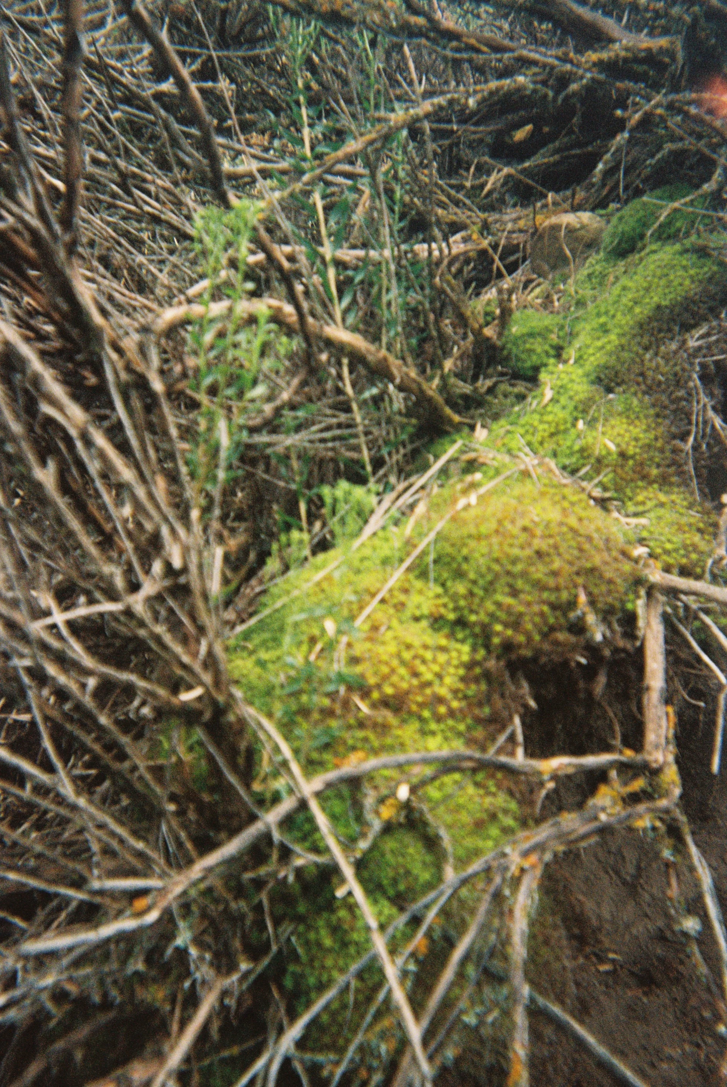 2026 Seasonal Camera_Kort-27.jpg