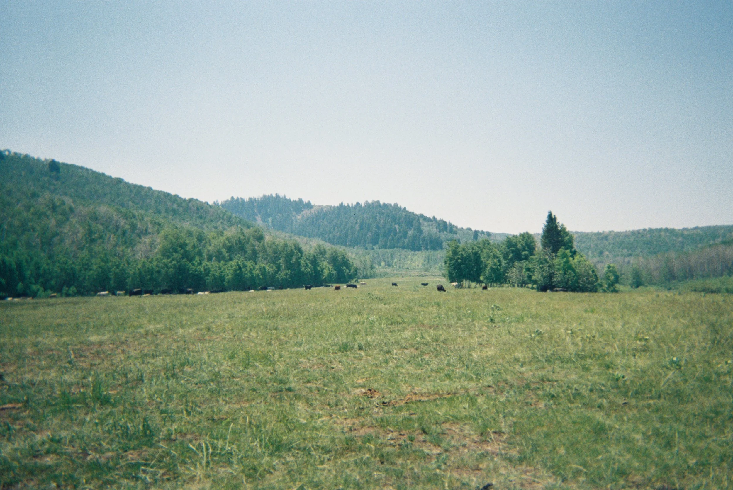 2026 Seasonal Camera_Abigail-9.jpg