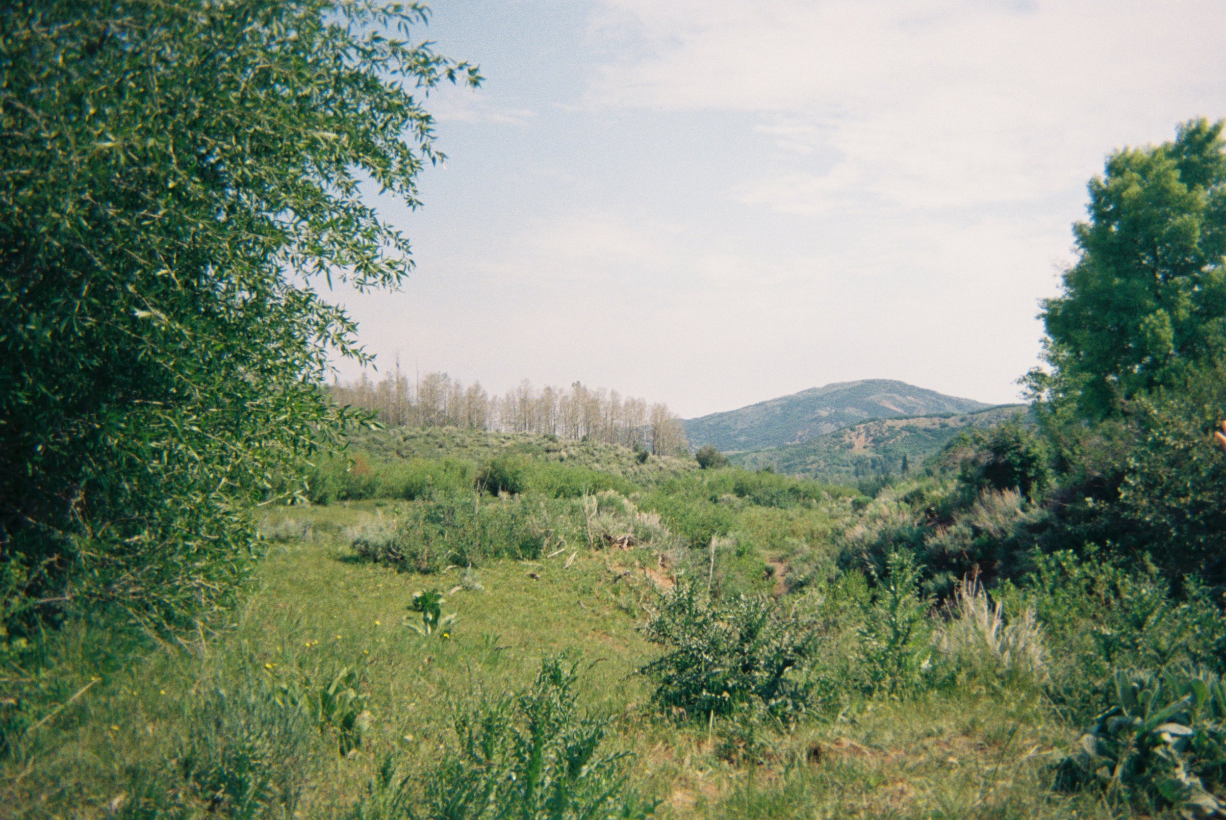 2026 Seasonal Camera_Abigail-7.jpg