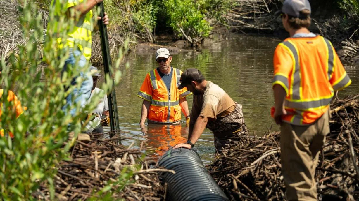 UDOT project protects roads while preserving beaver habitat