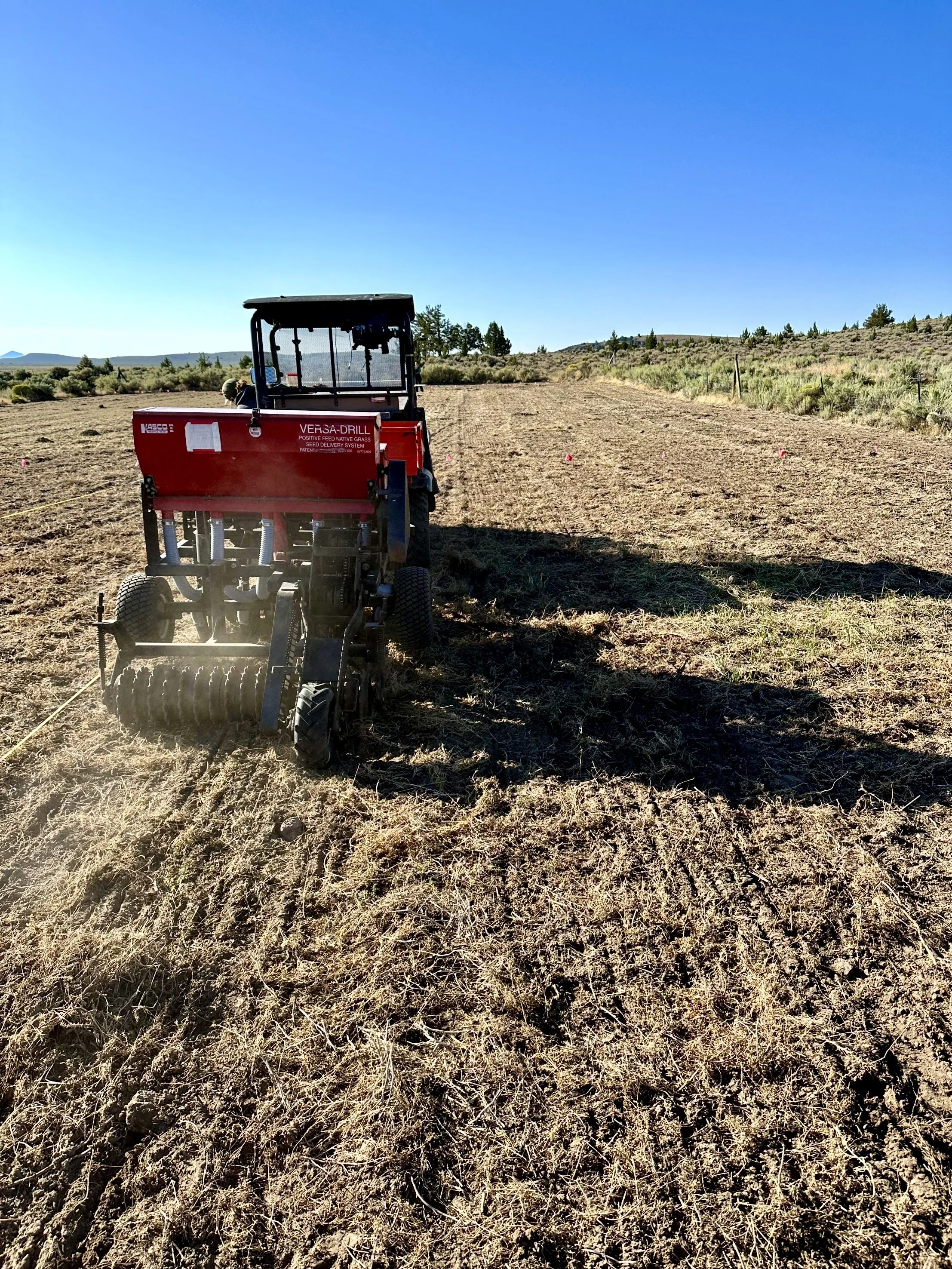230905_Install_Seeding (12).JPEG
